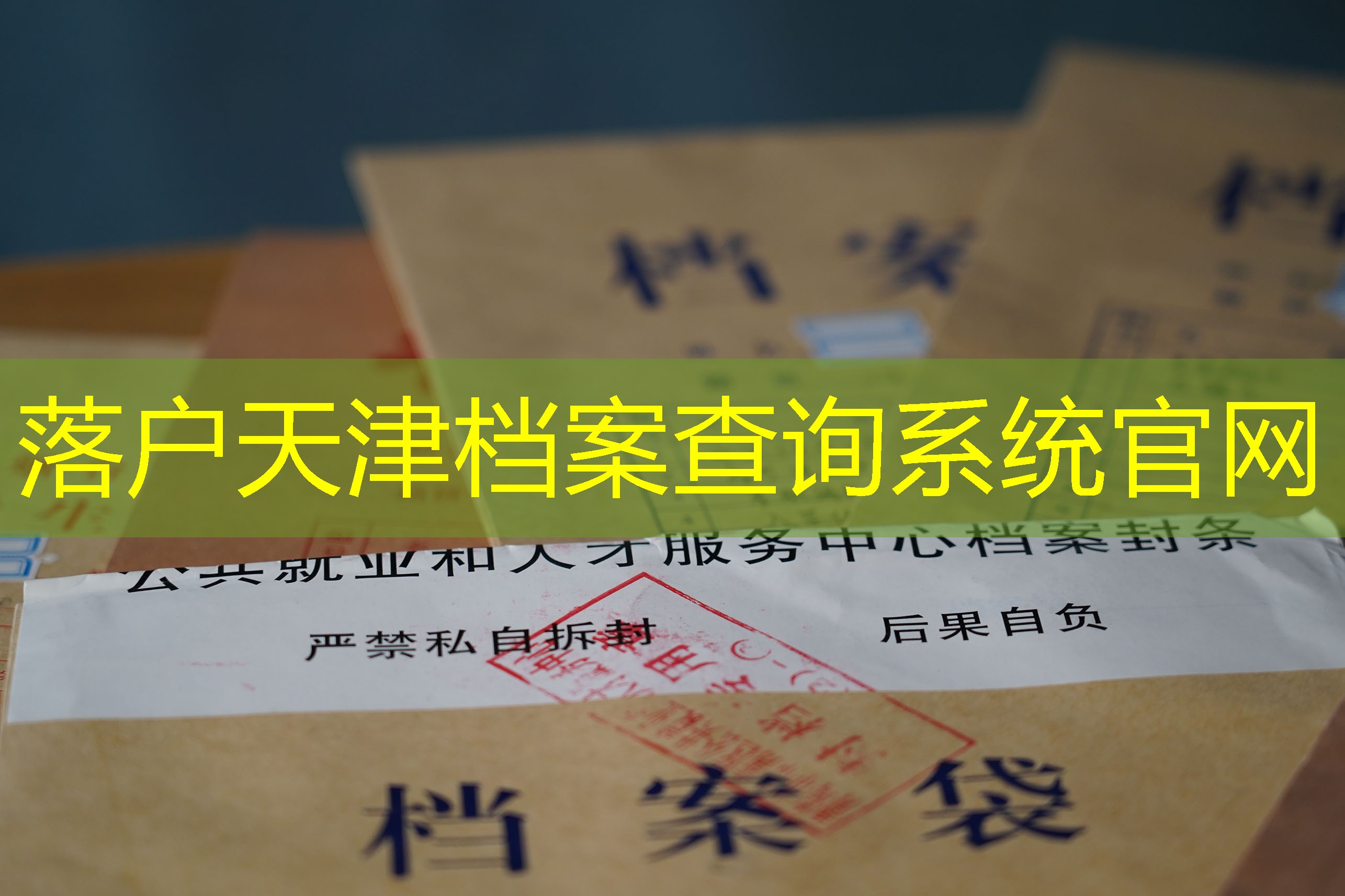 档案查询