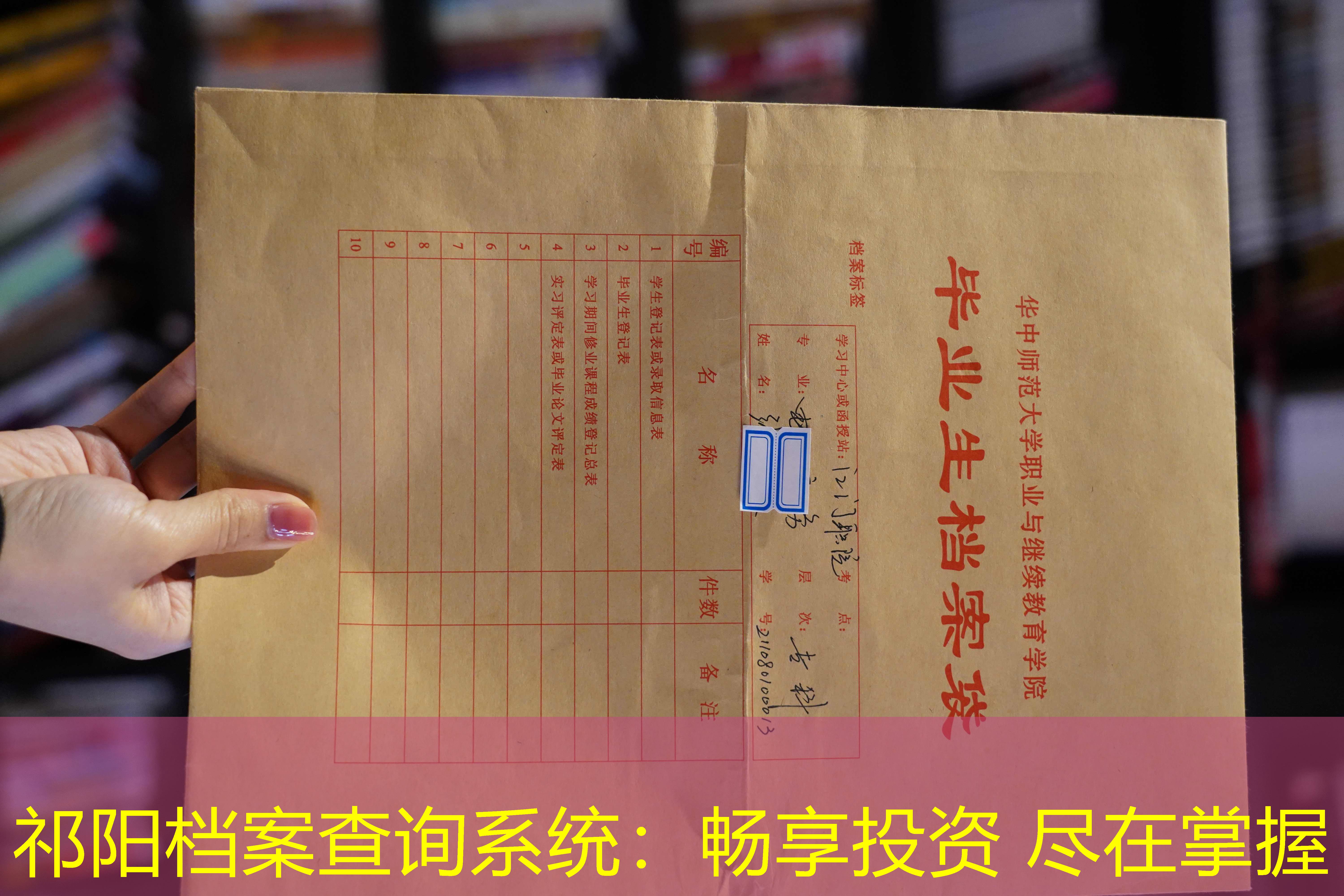 档案查询