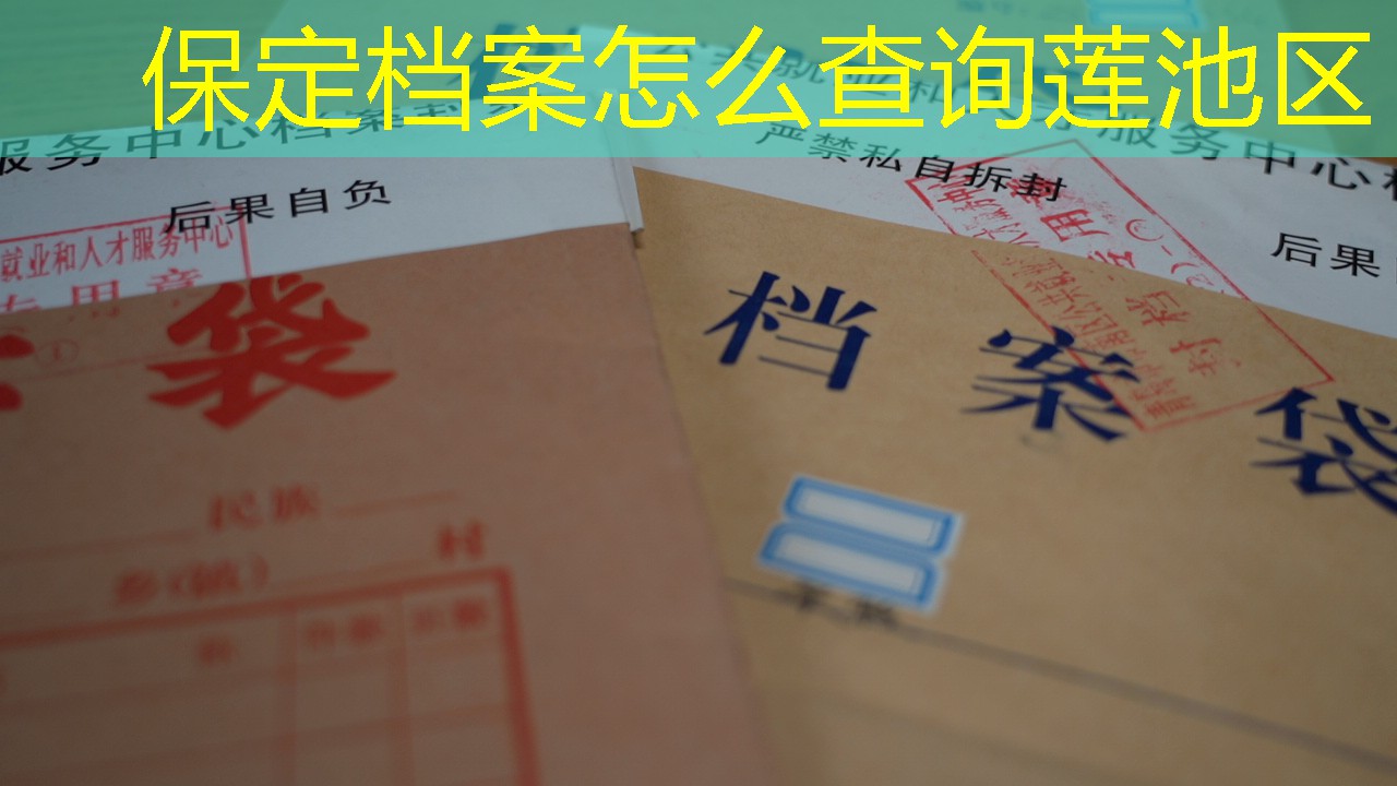 档案查询