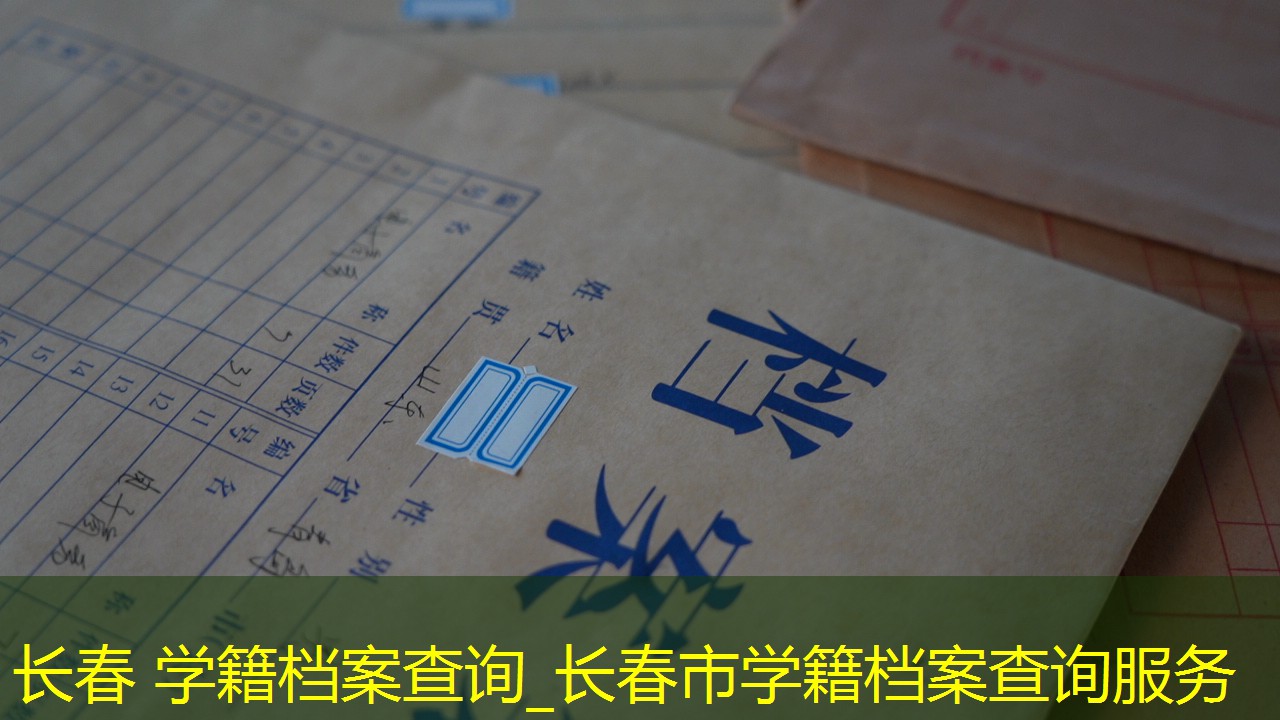档案查询