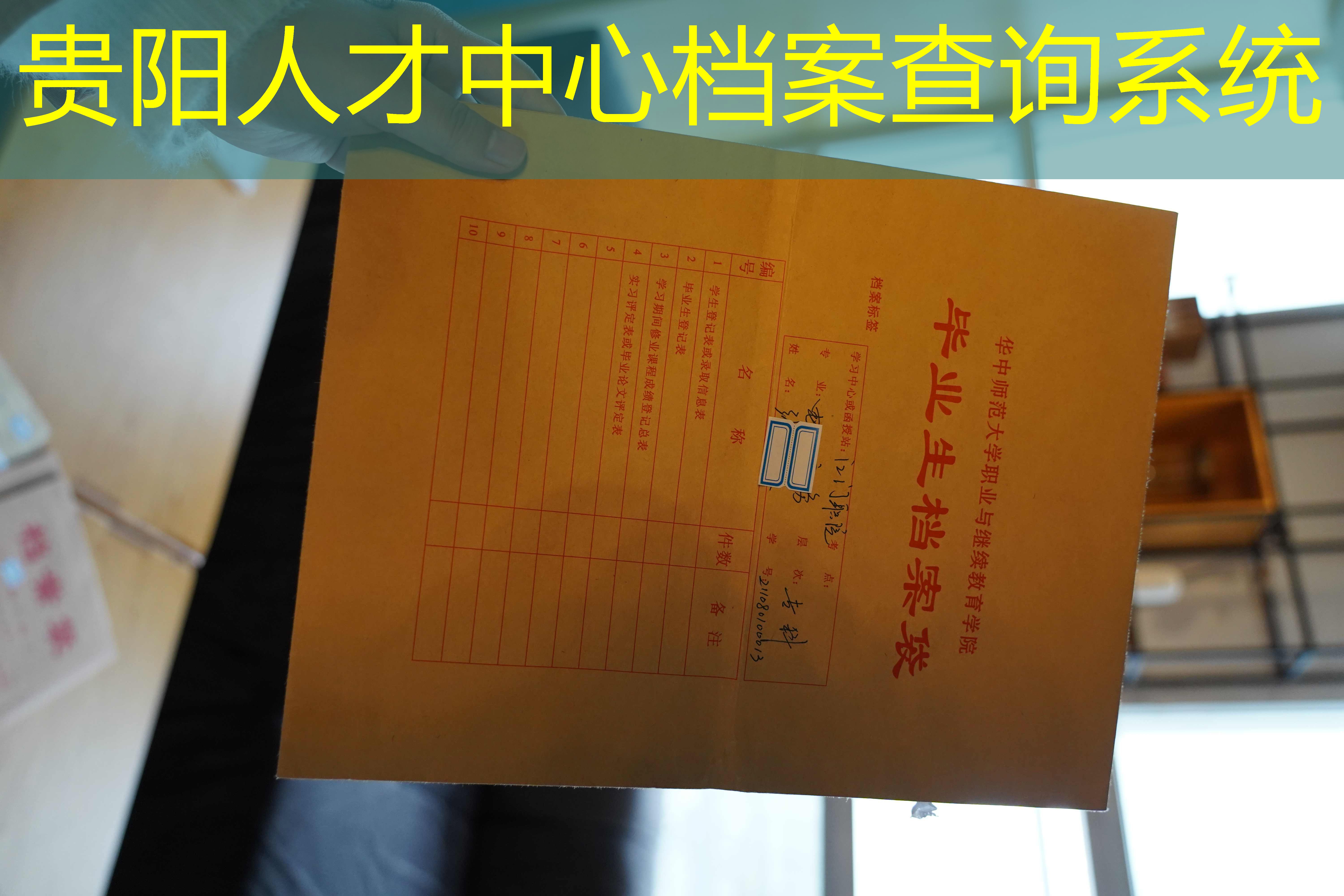 档案查询