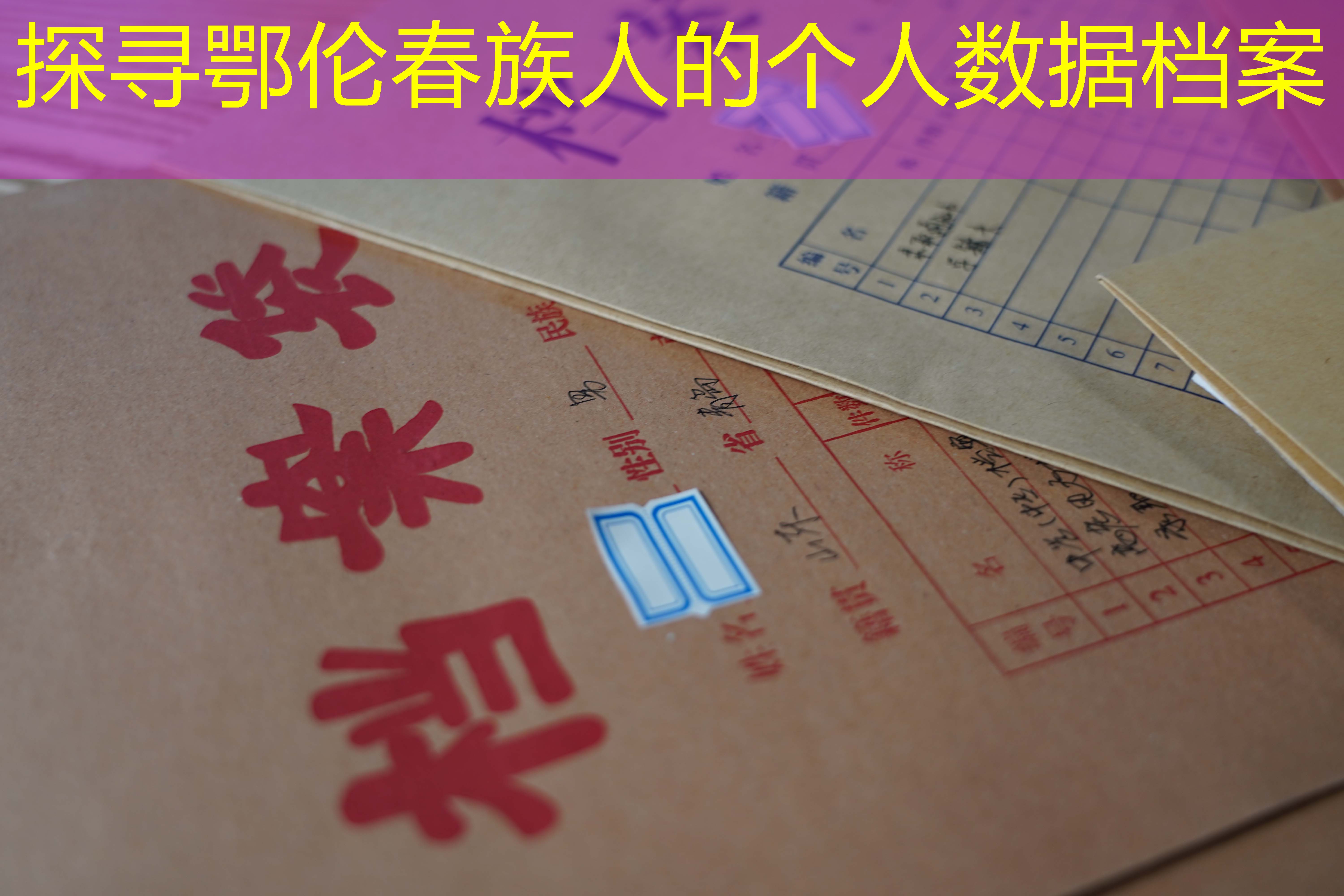 档案查询