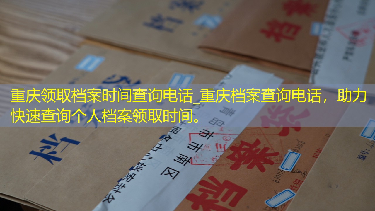 档案查询