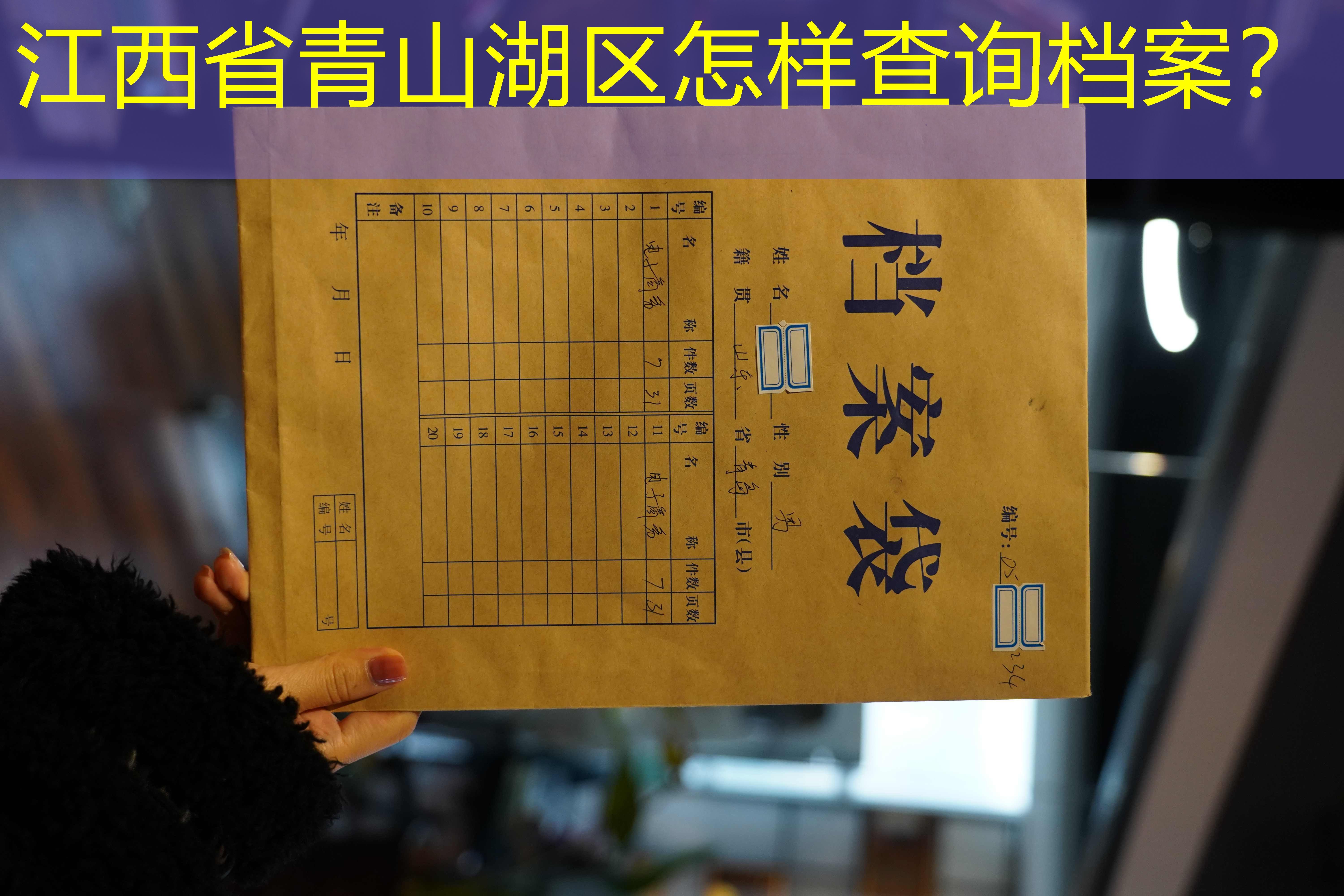 档案查询