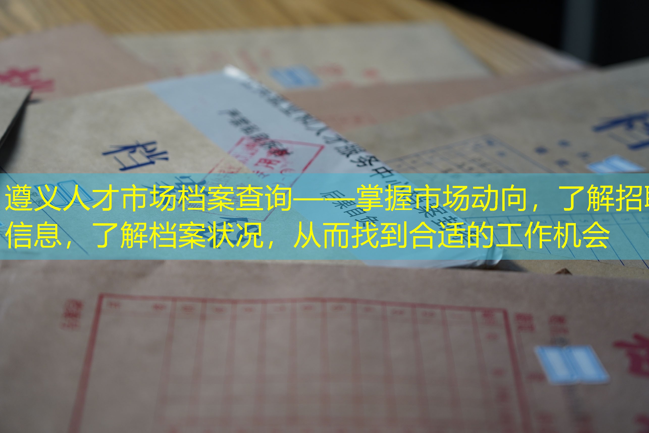 档案查询