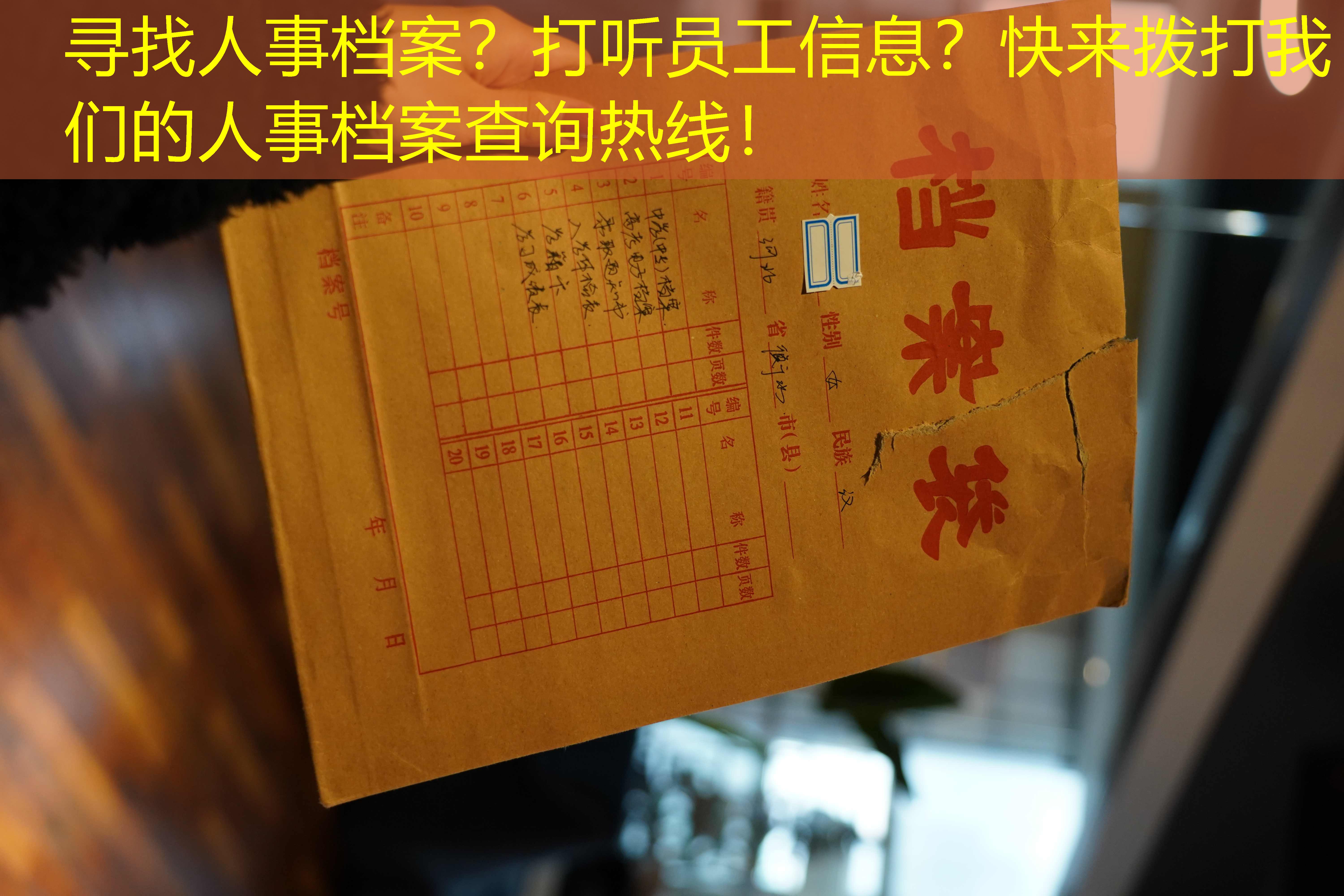 档案查询