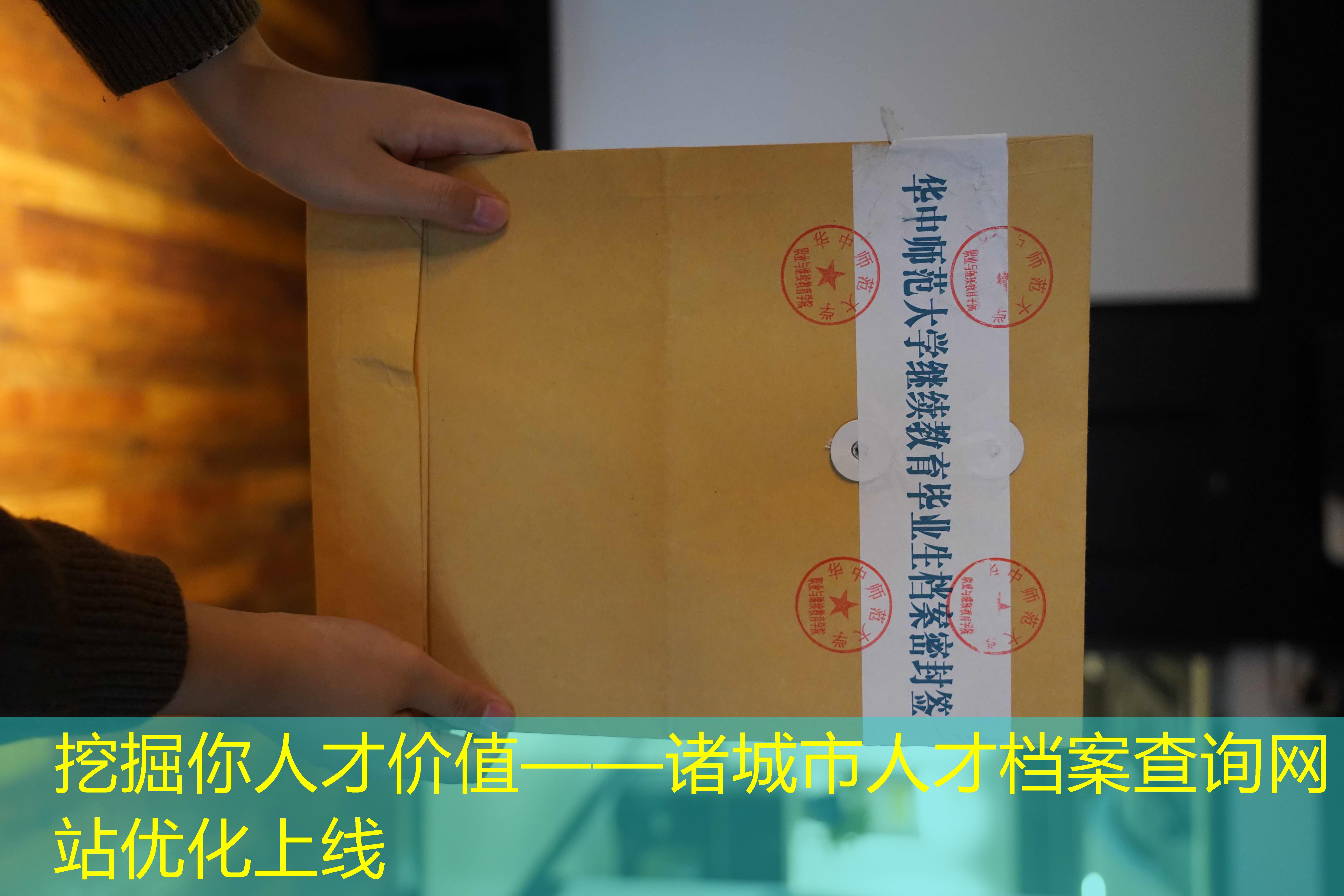 档案查询