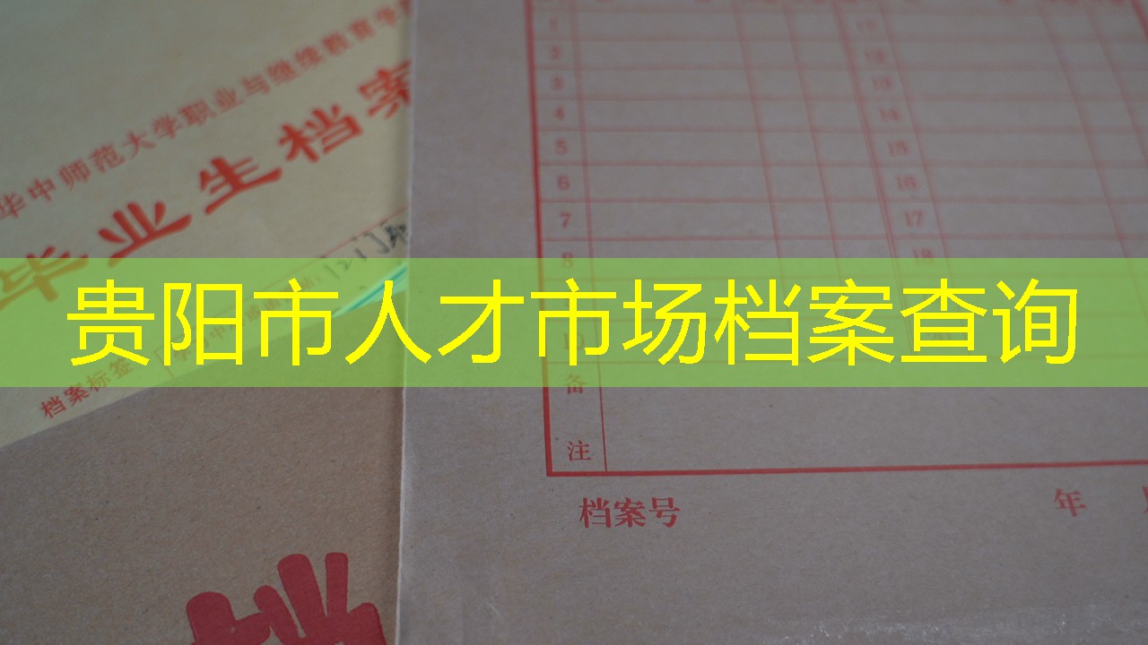 档案查询