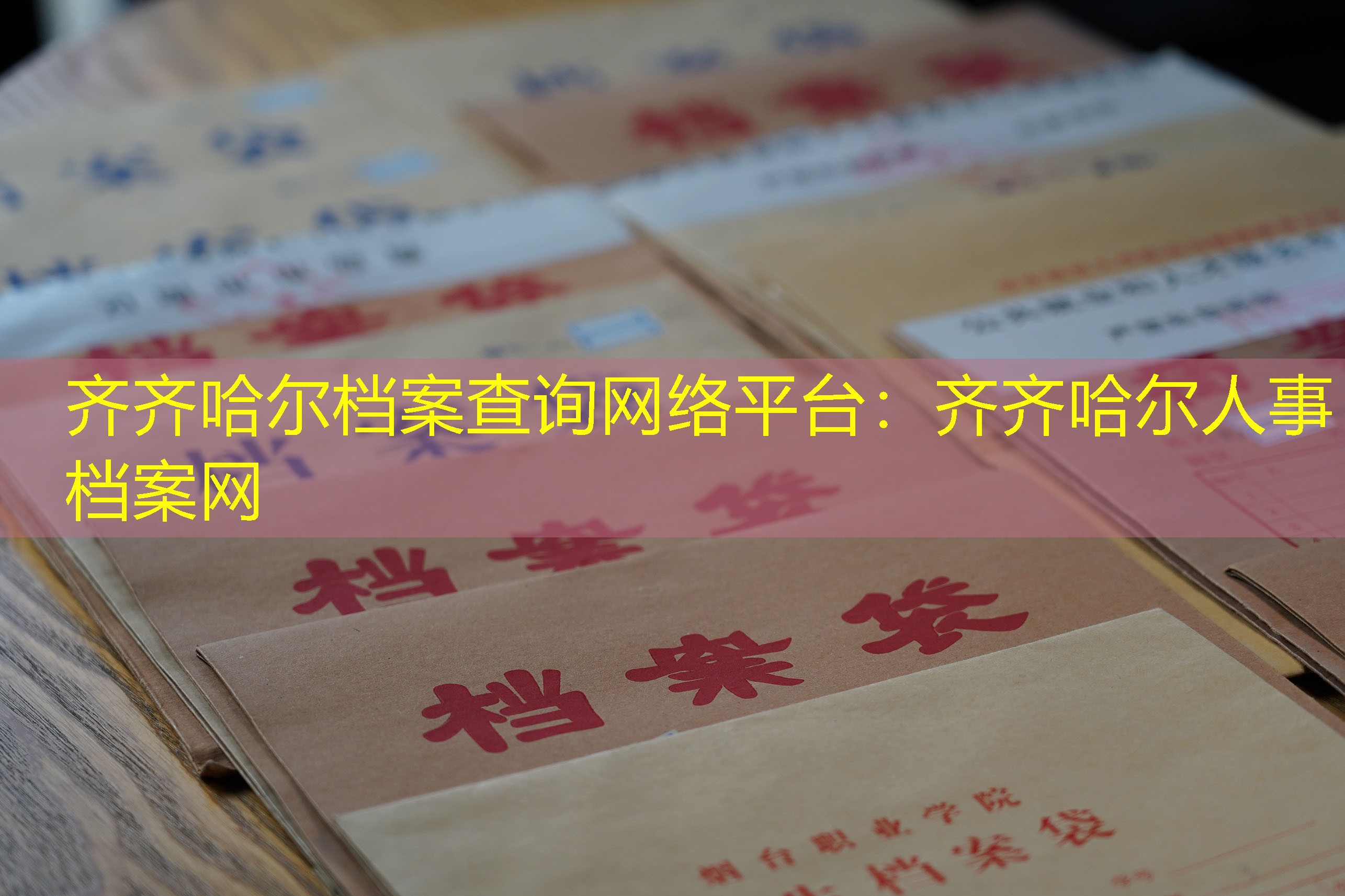 档案查询