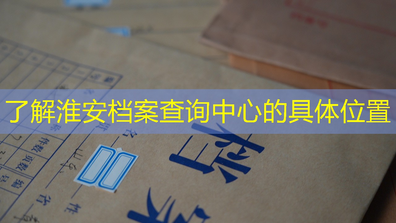 档案查询