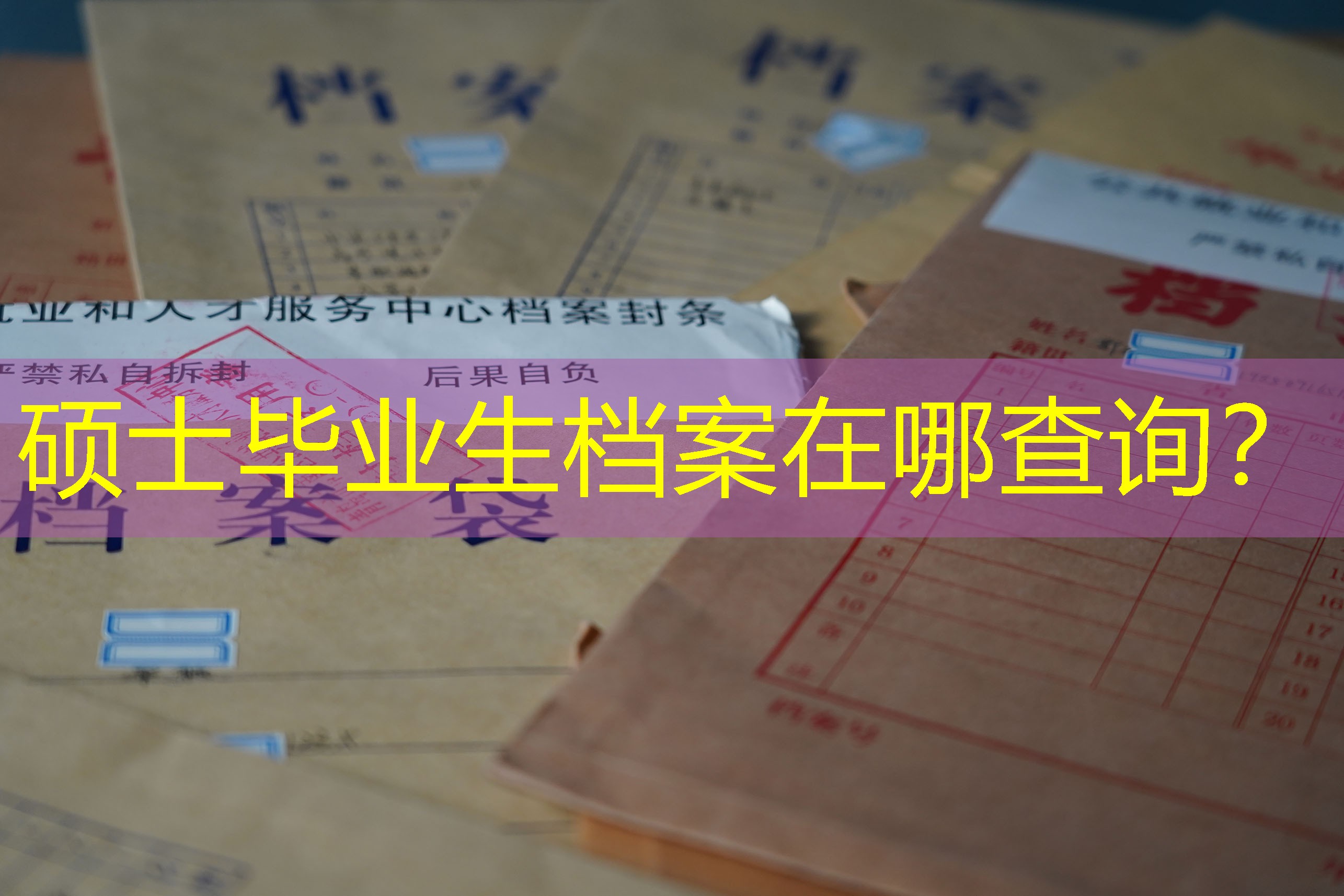 档案查询