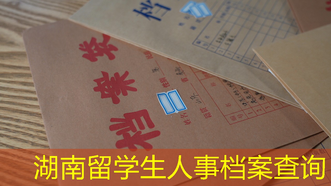 档案查询
