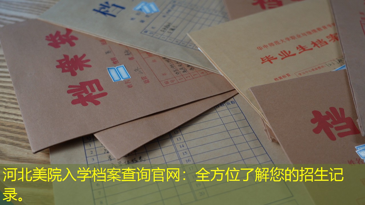 档案查询