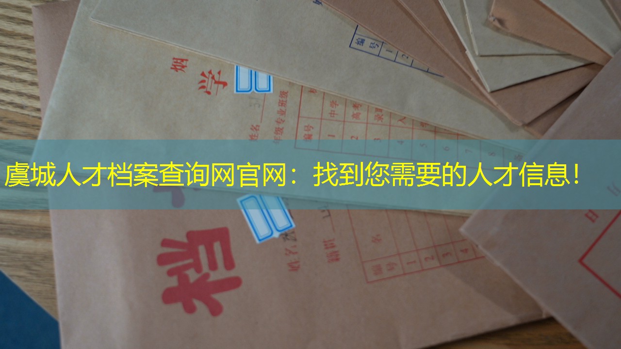 档案查询