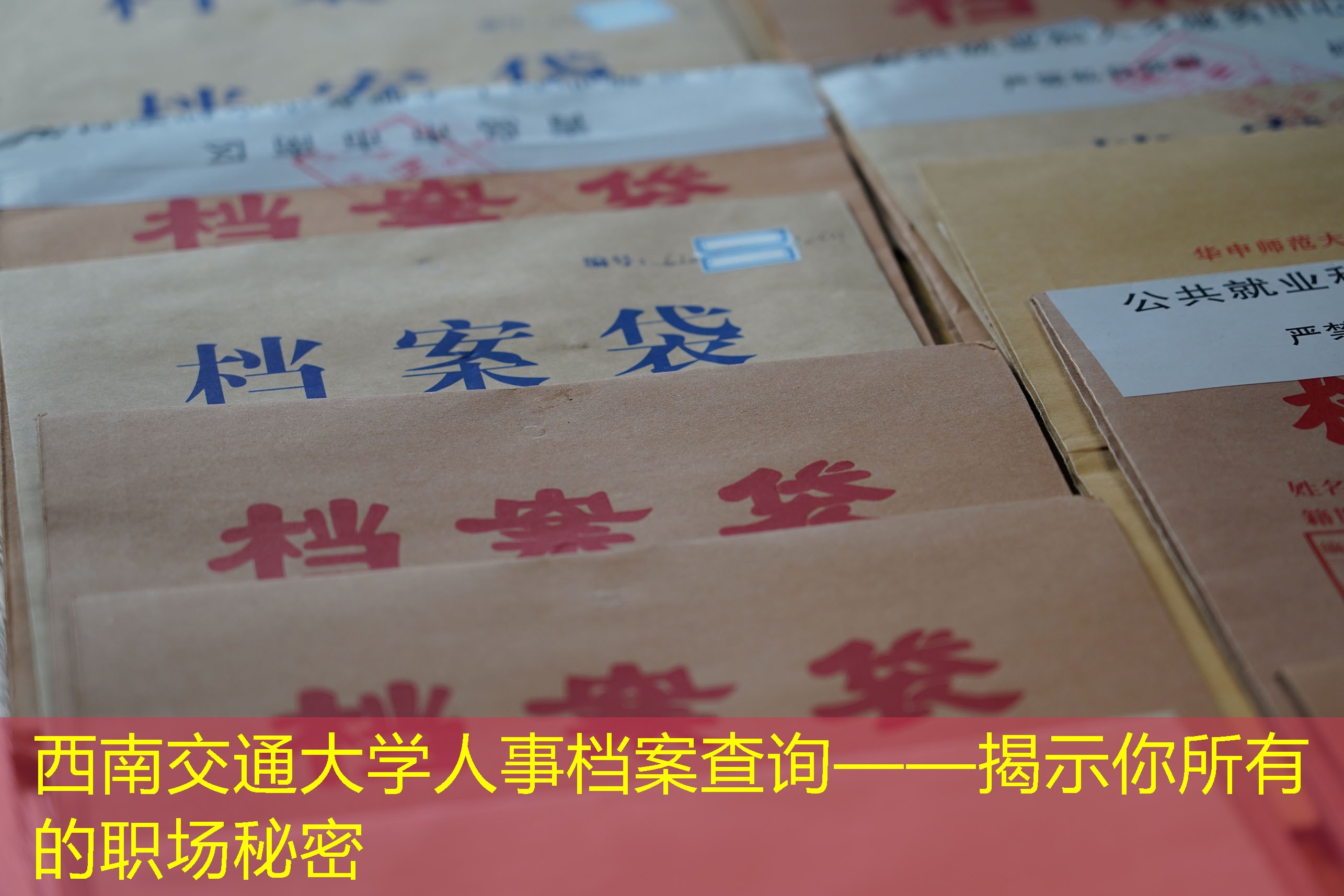 档案查询