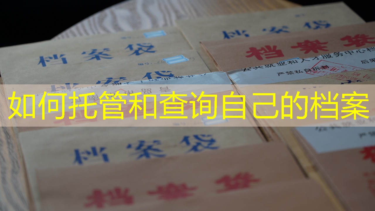 档案查询
