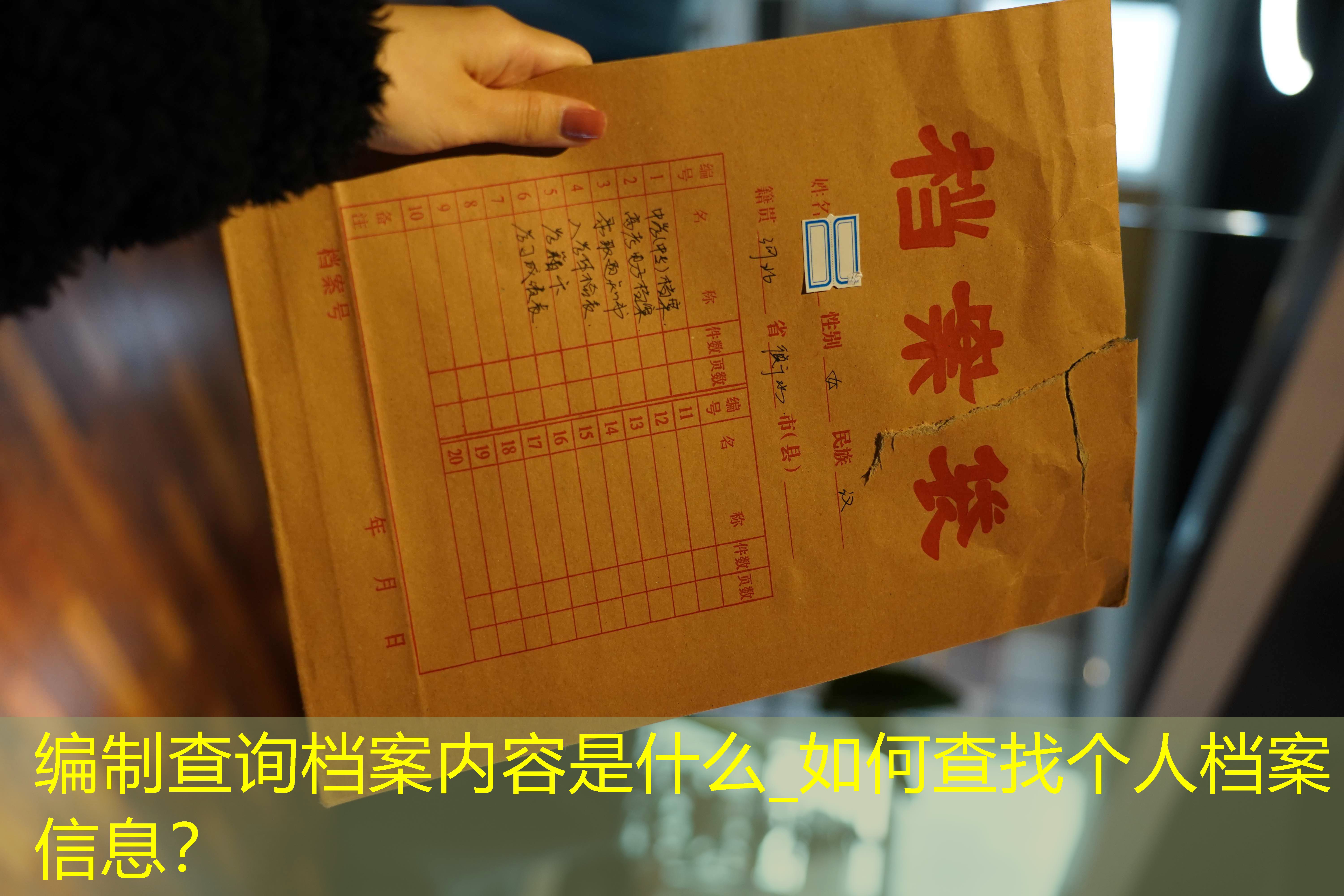 档案查询