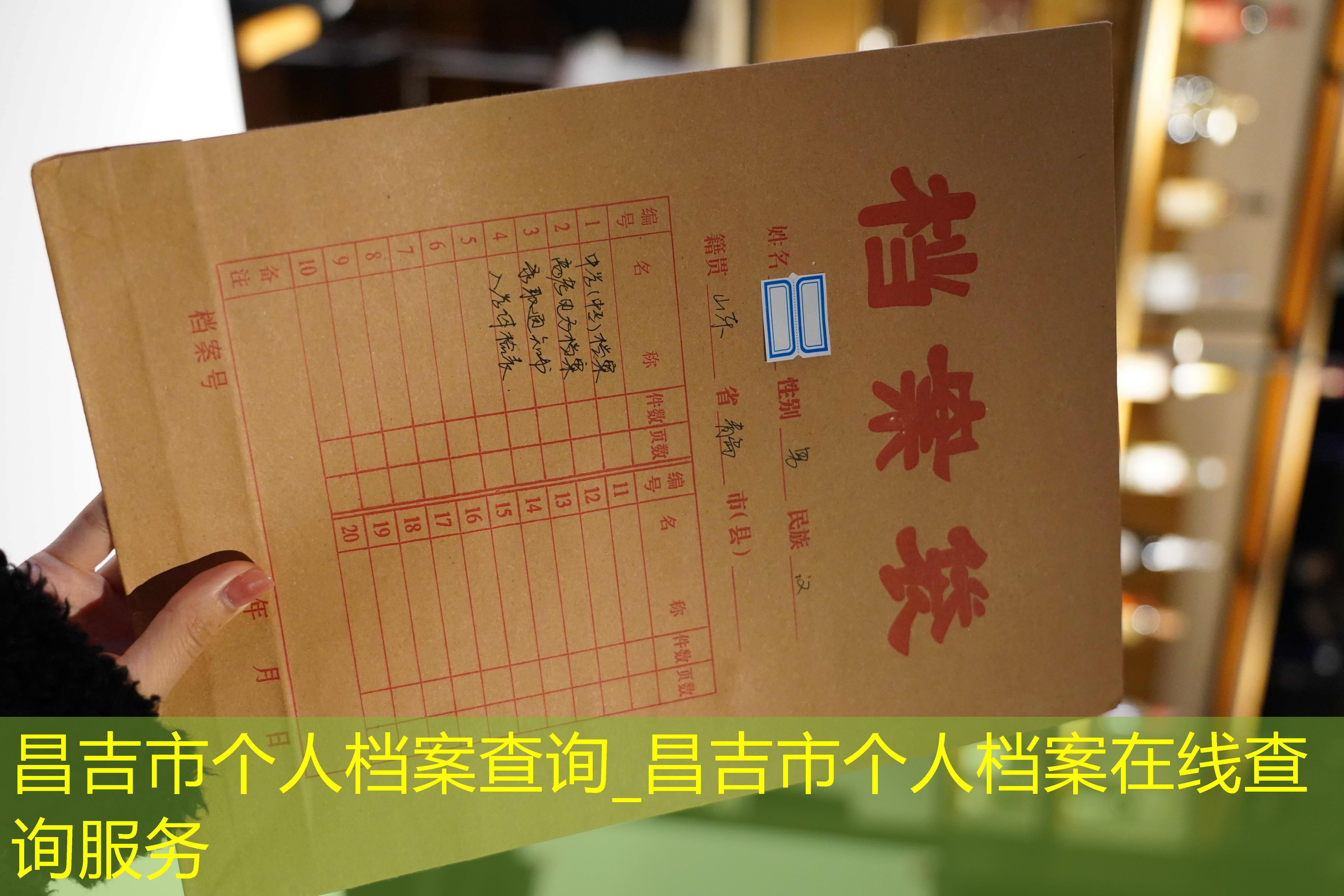 档案查询