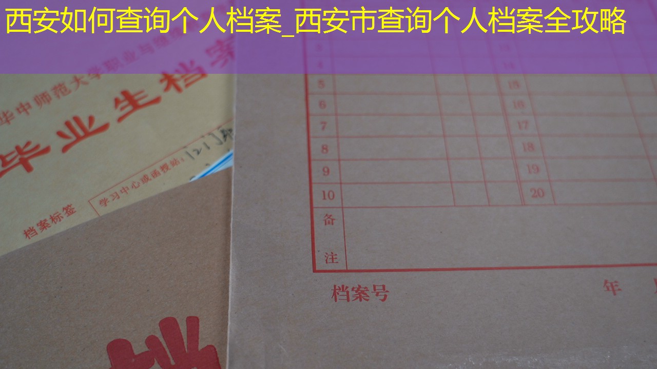档案查询
