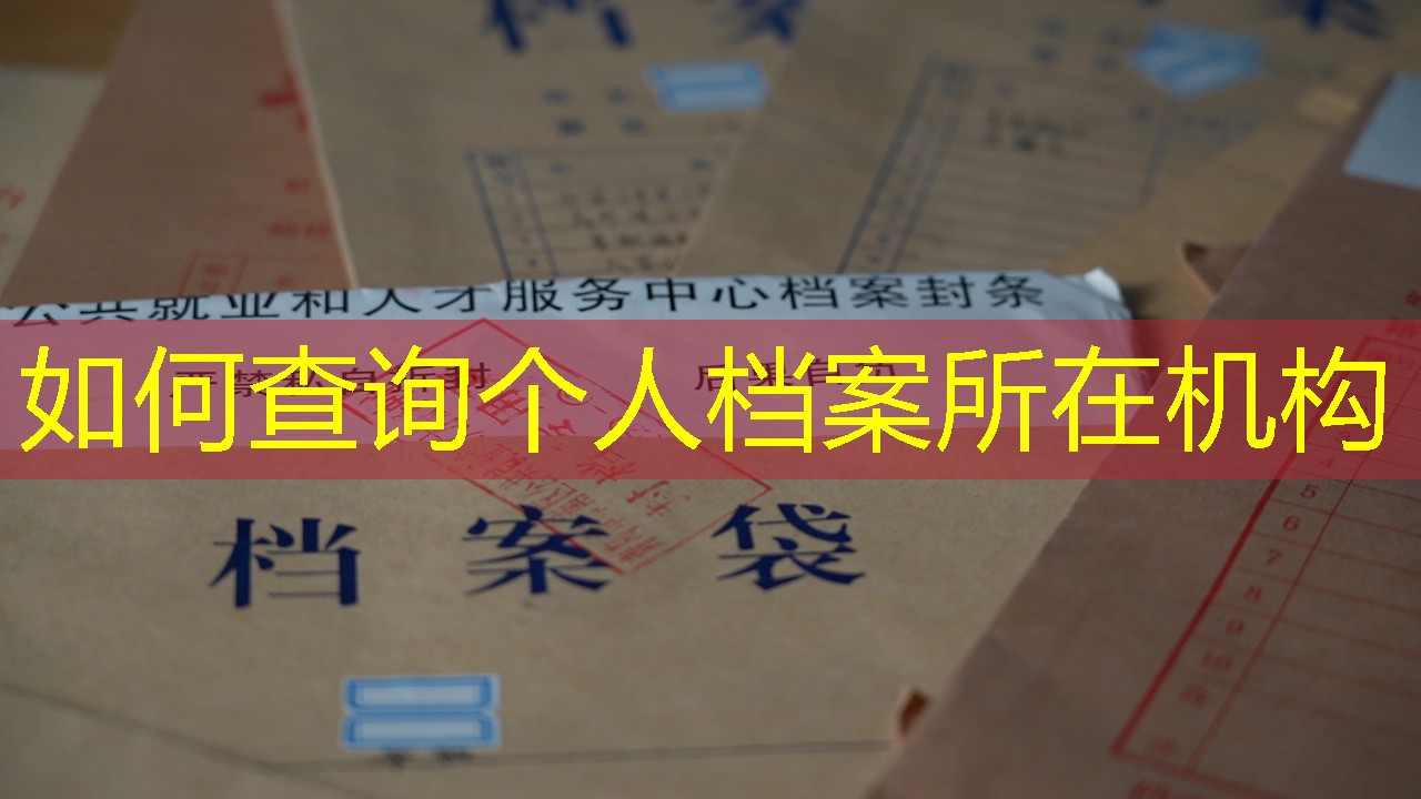 档案查询