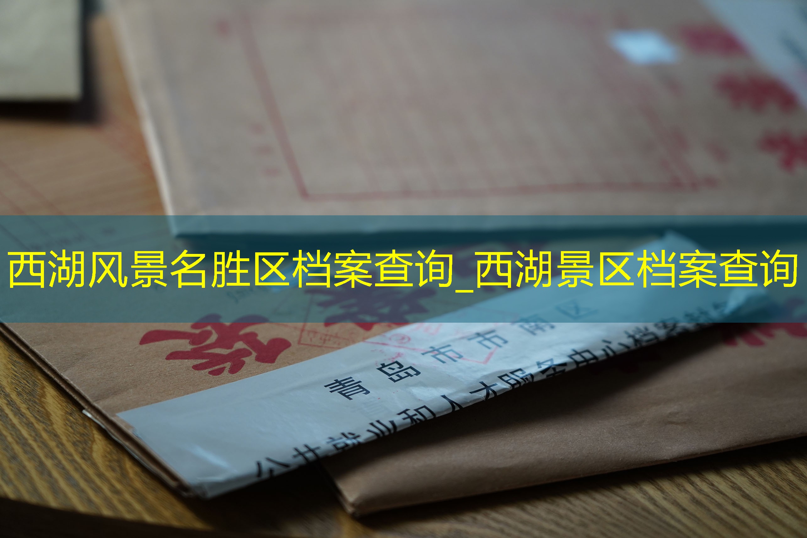 档案查询