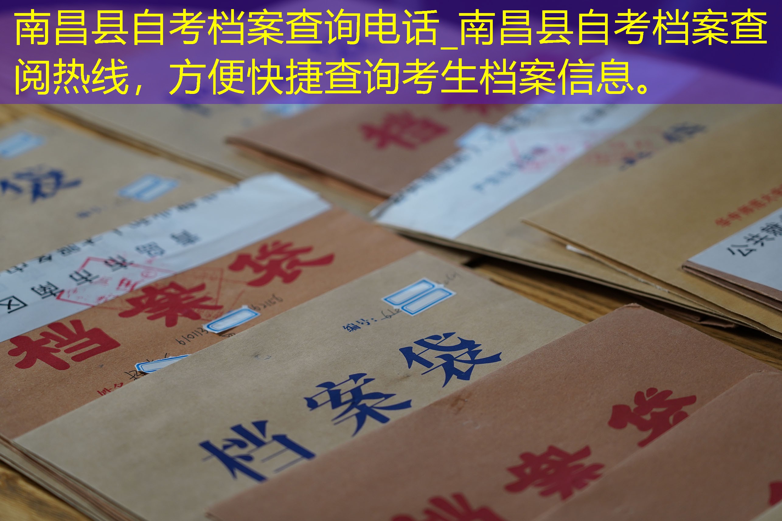 档案查询