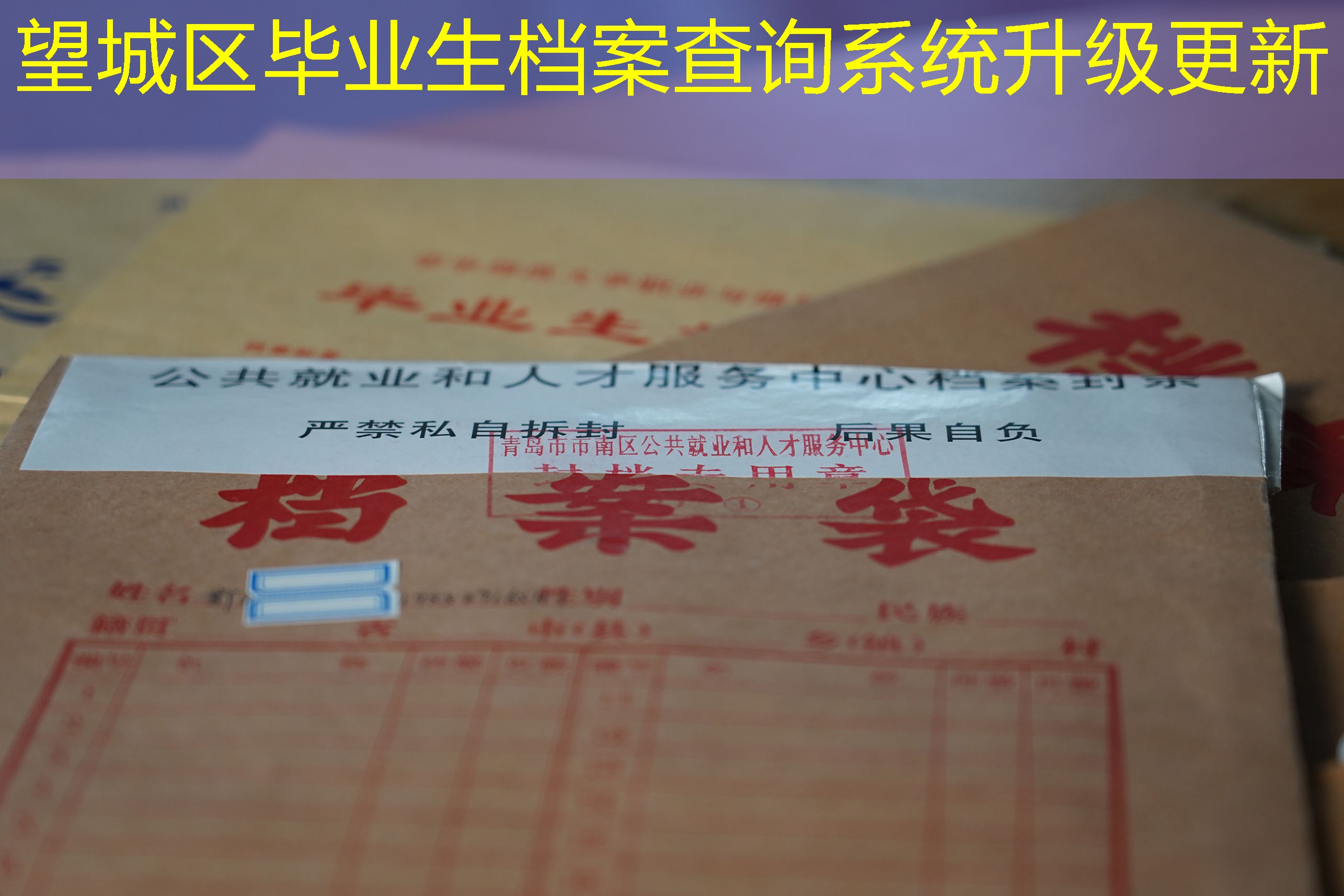 档案查询