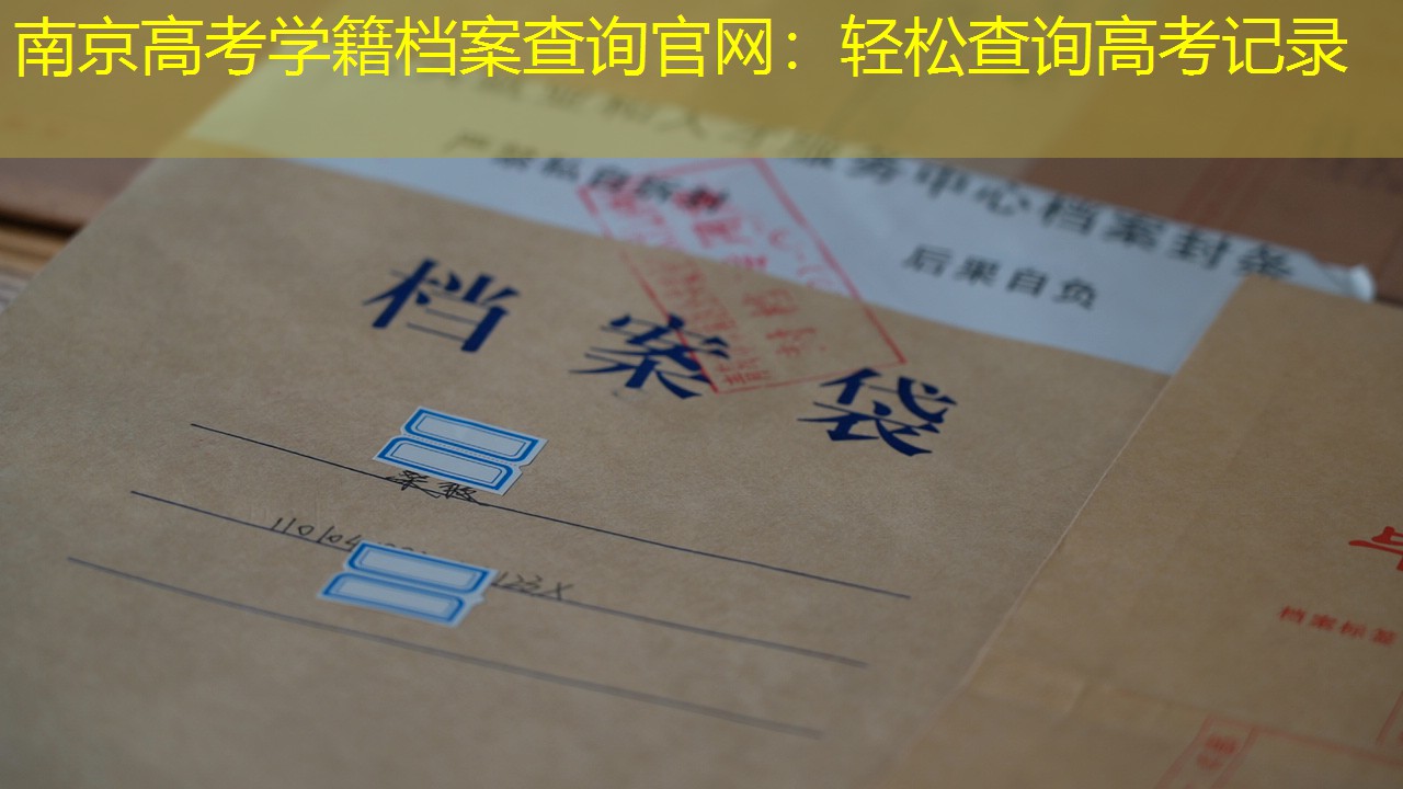 档案查询