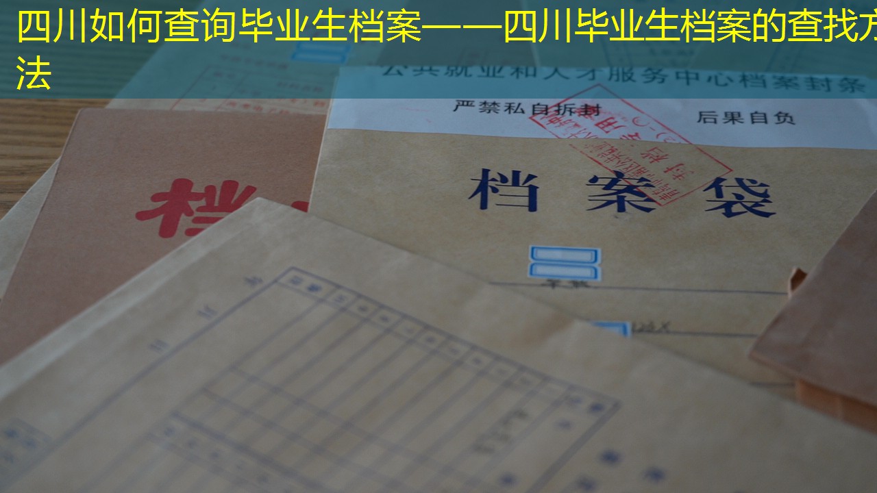 档案查询
