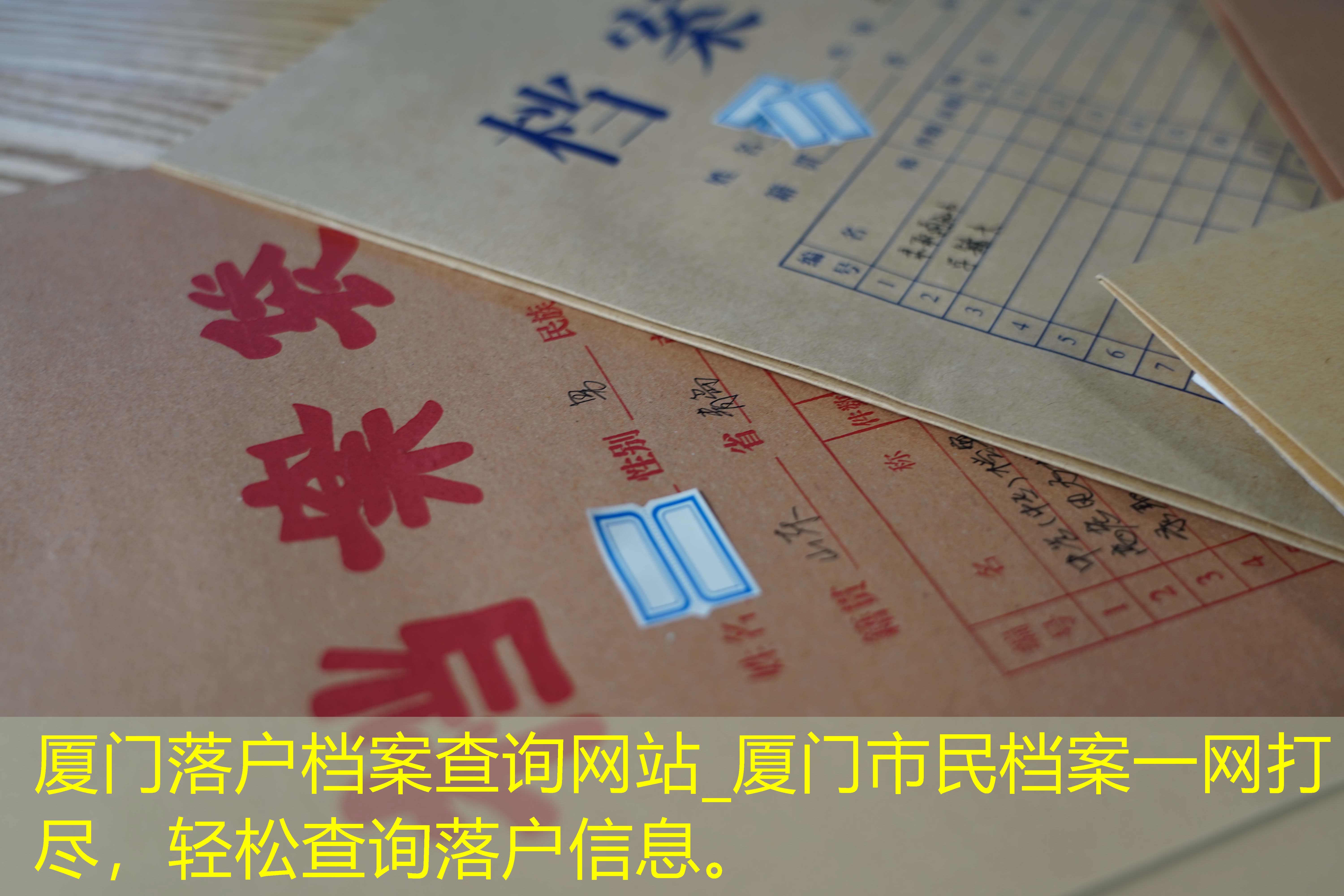 档案查询