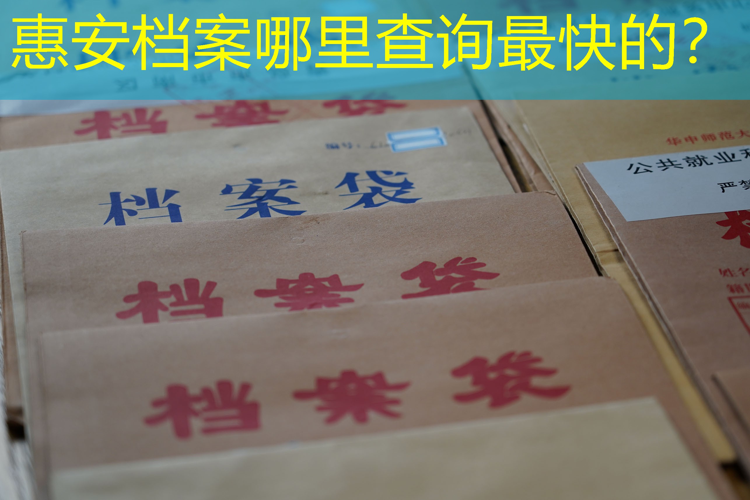 档案查询