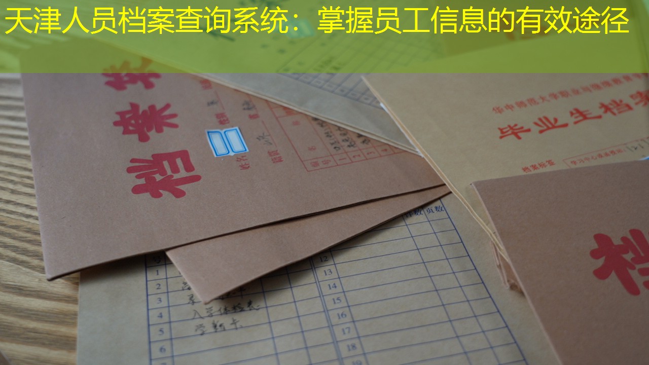 档案查询
