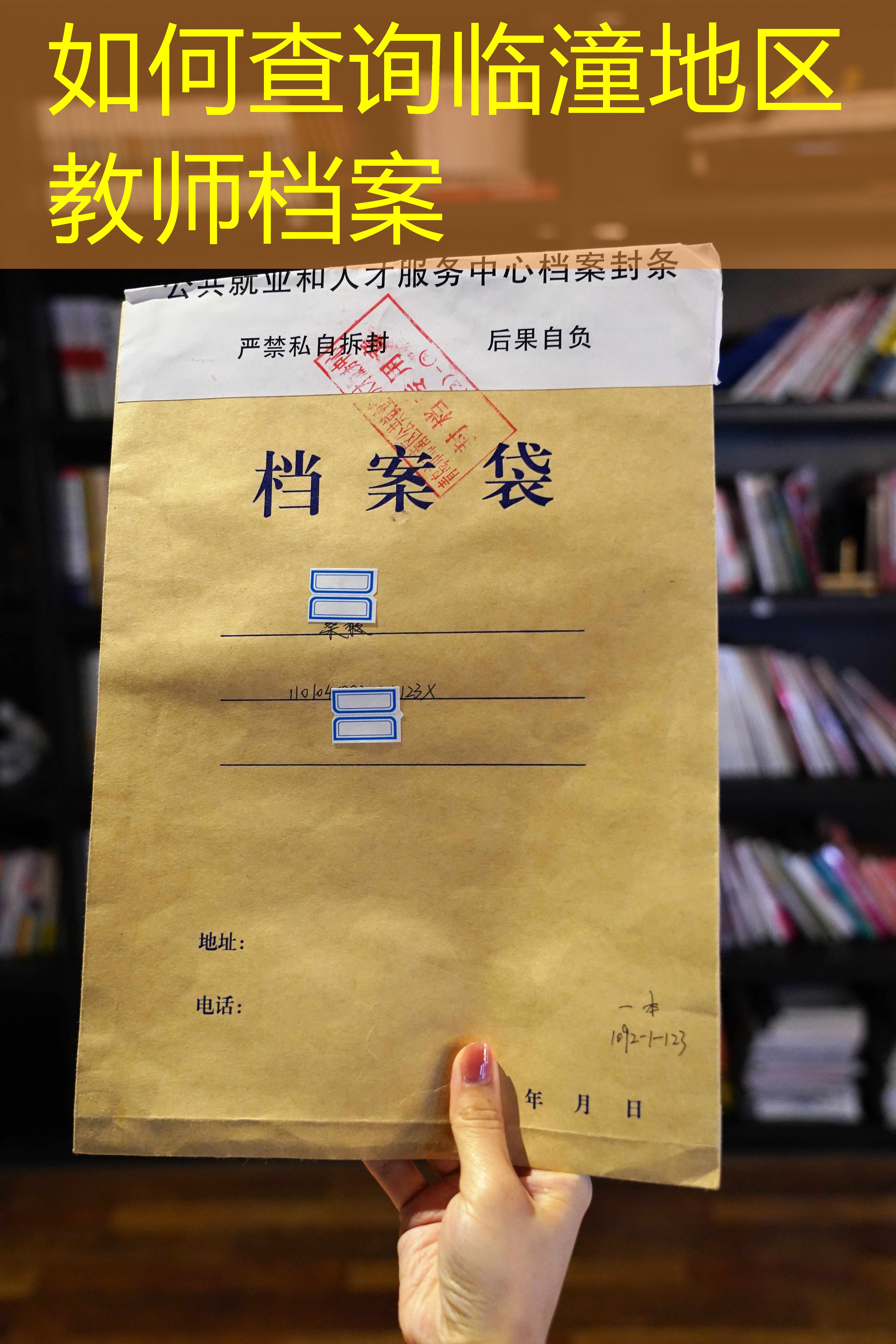 档案查询