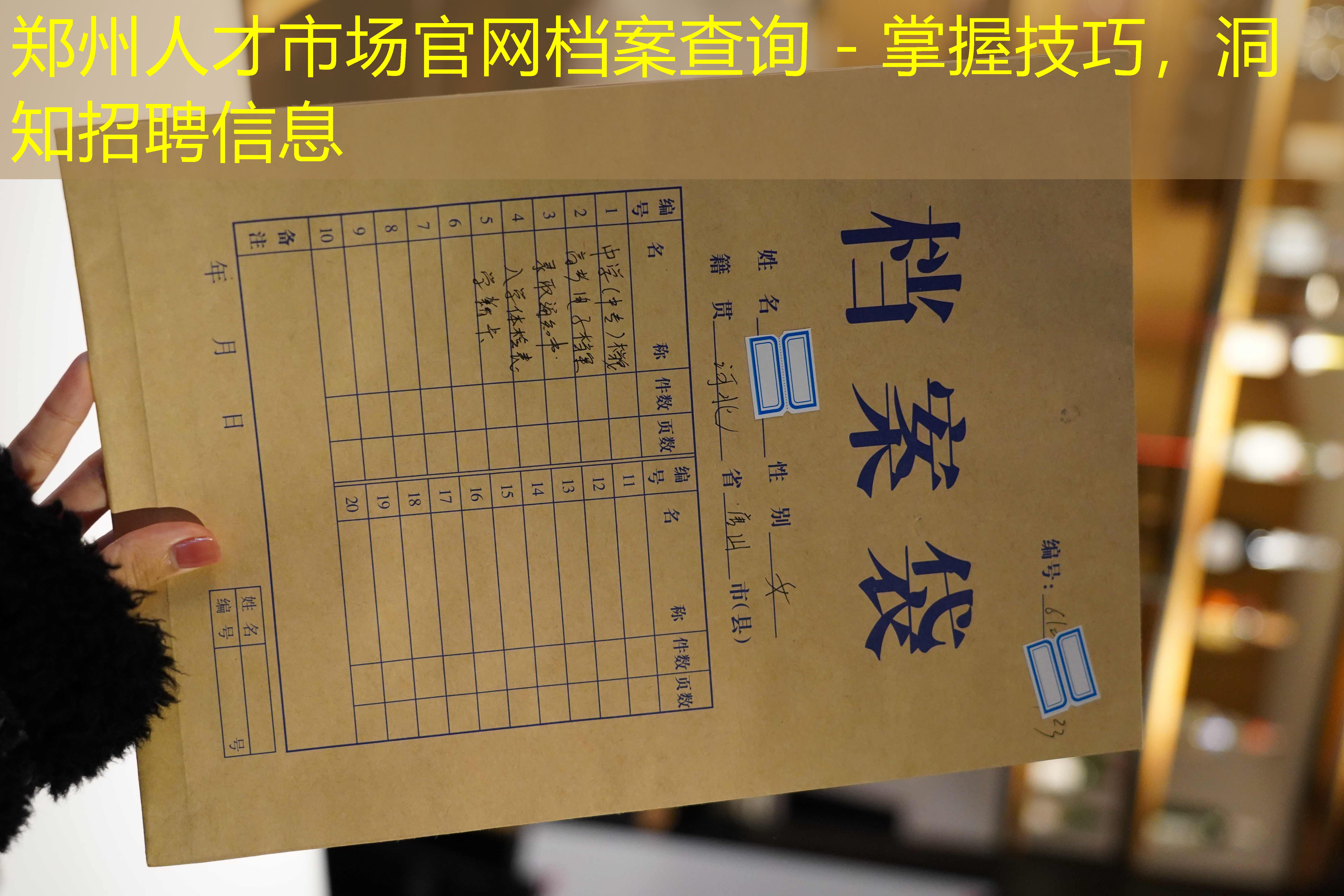 档案查询