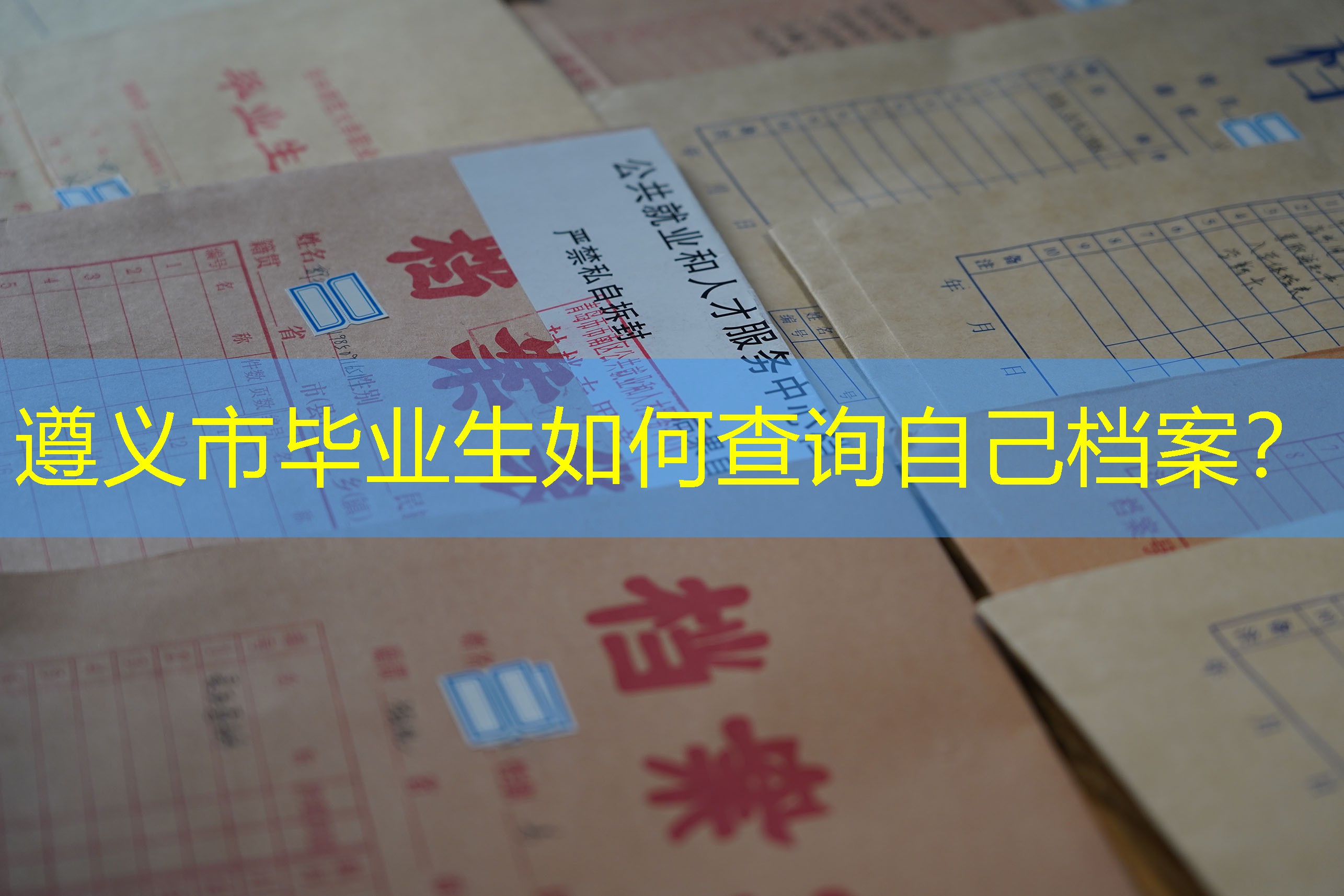 档案查询