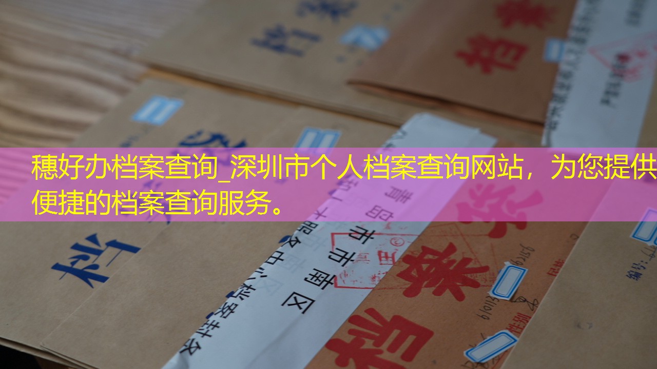 档案查询