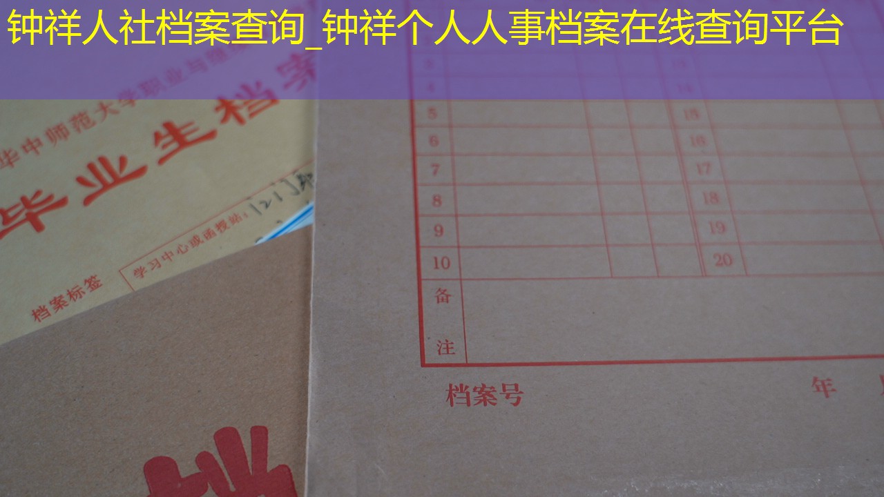 档案查询