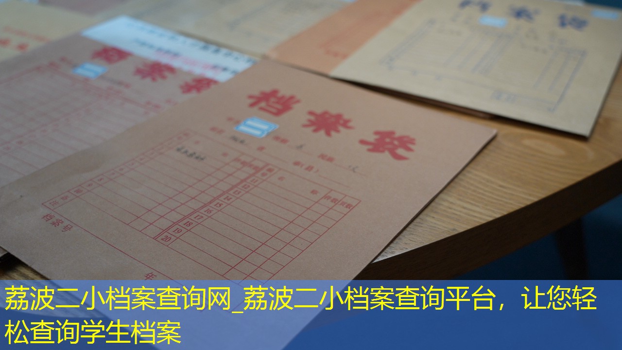 档案查询