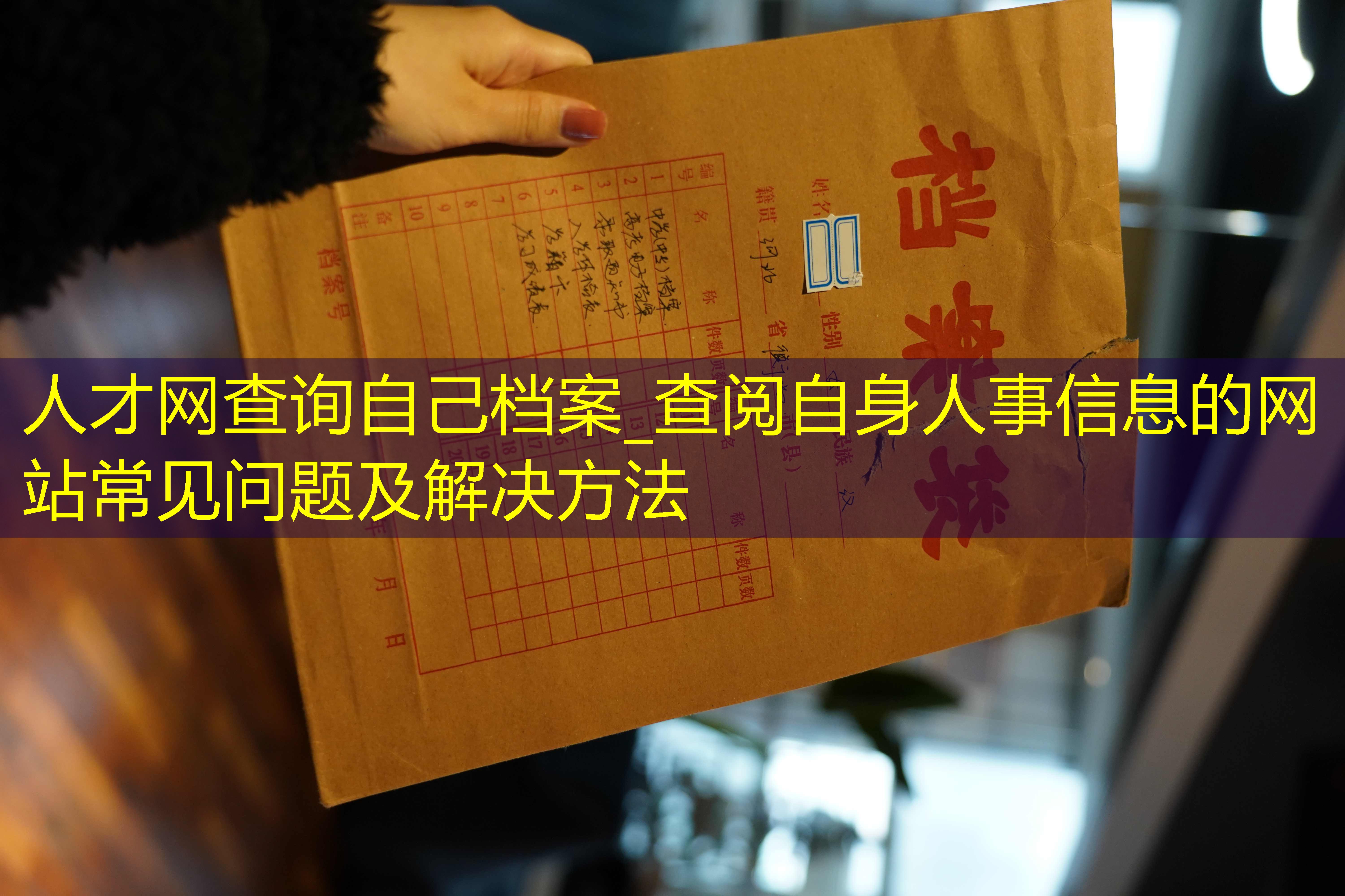 档案查询