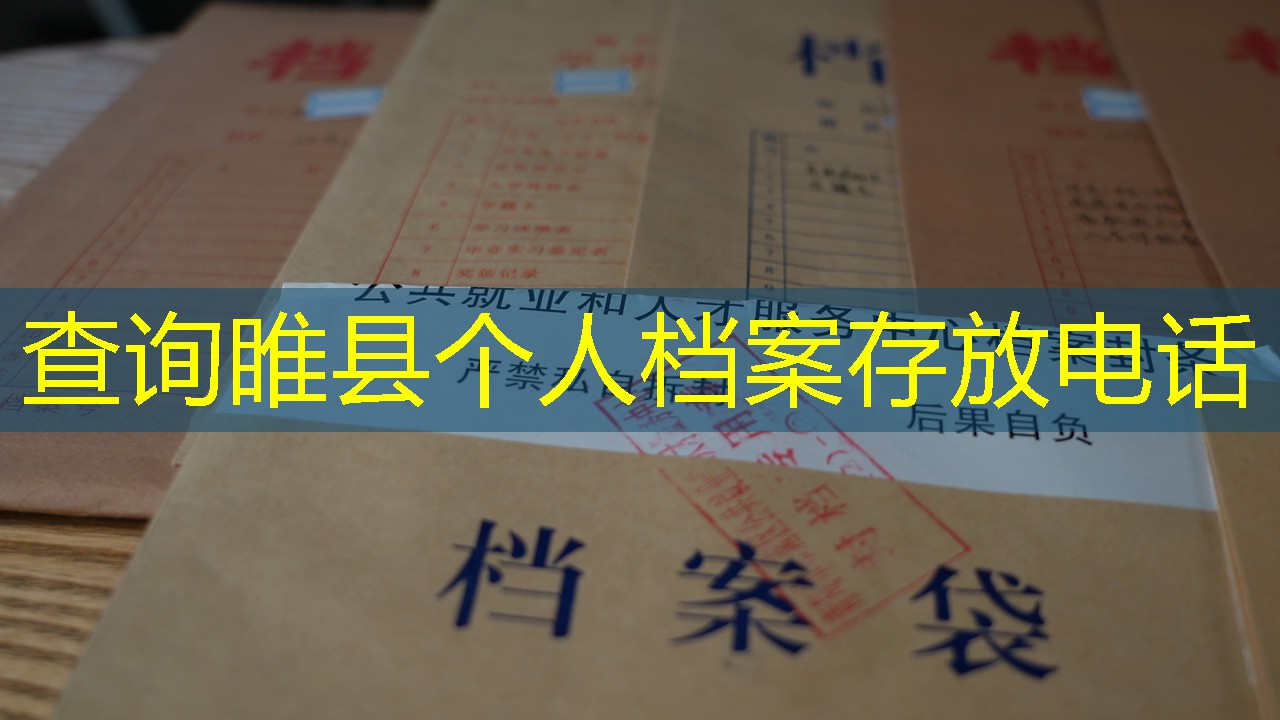 档案查询