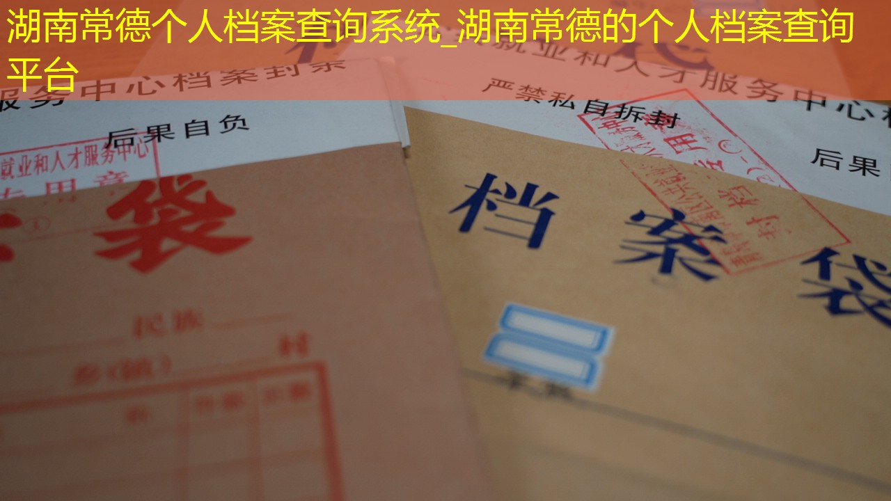档案查询