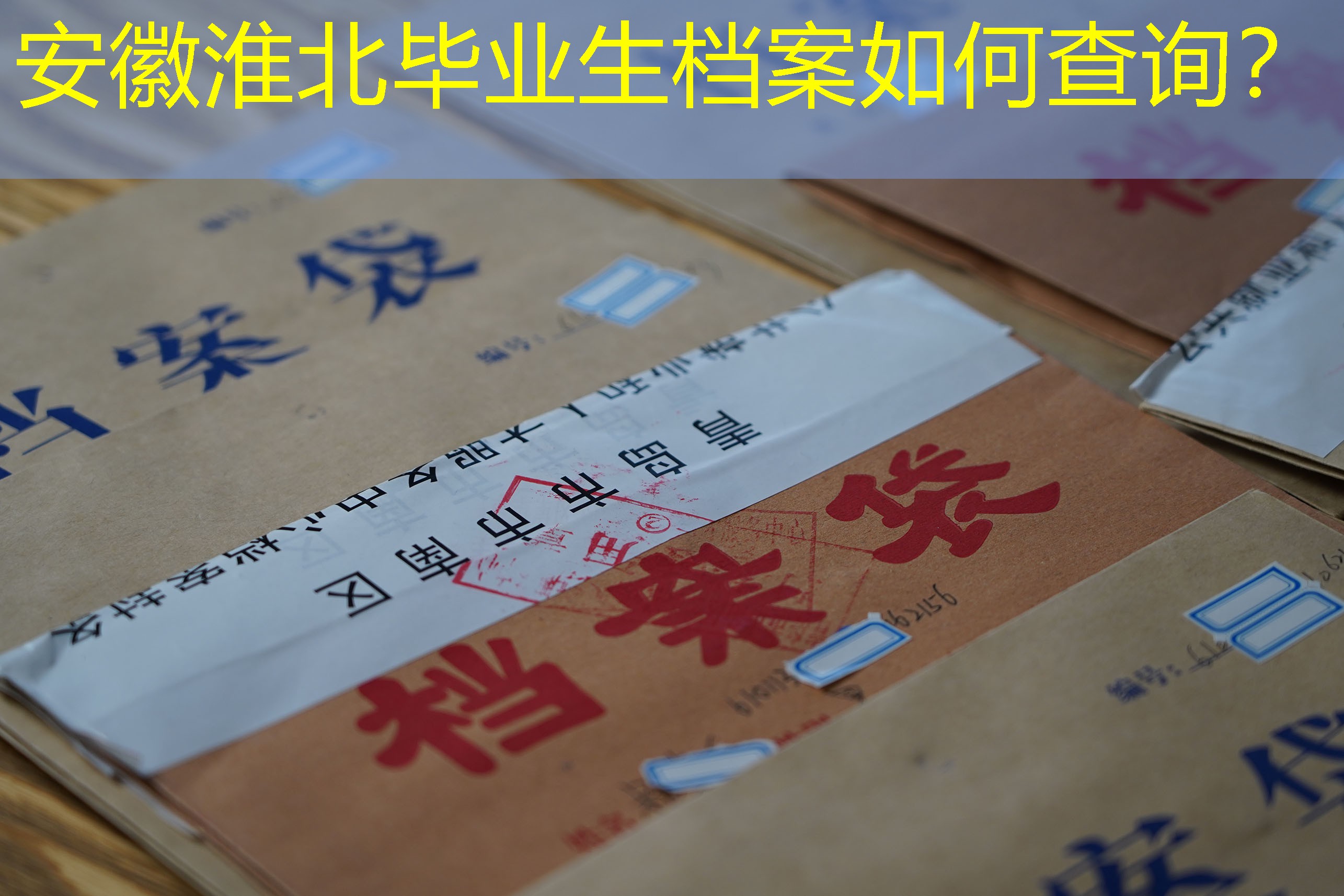 档案查询