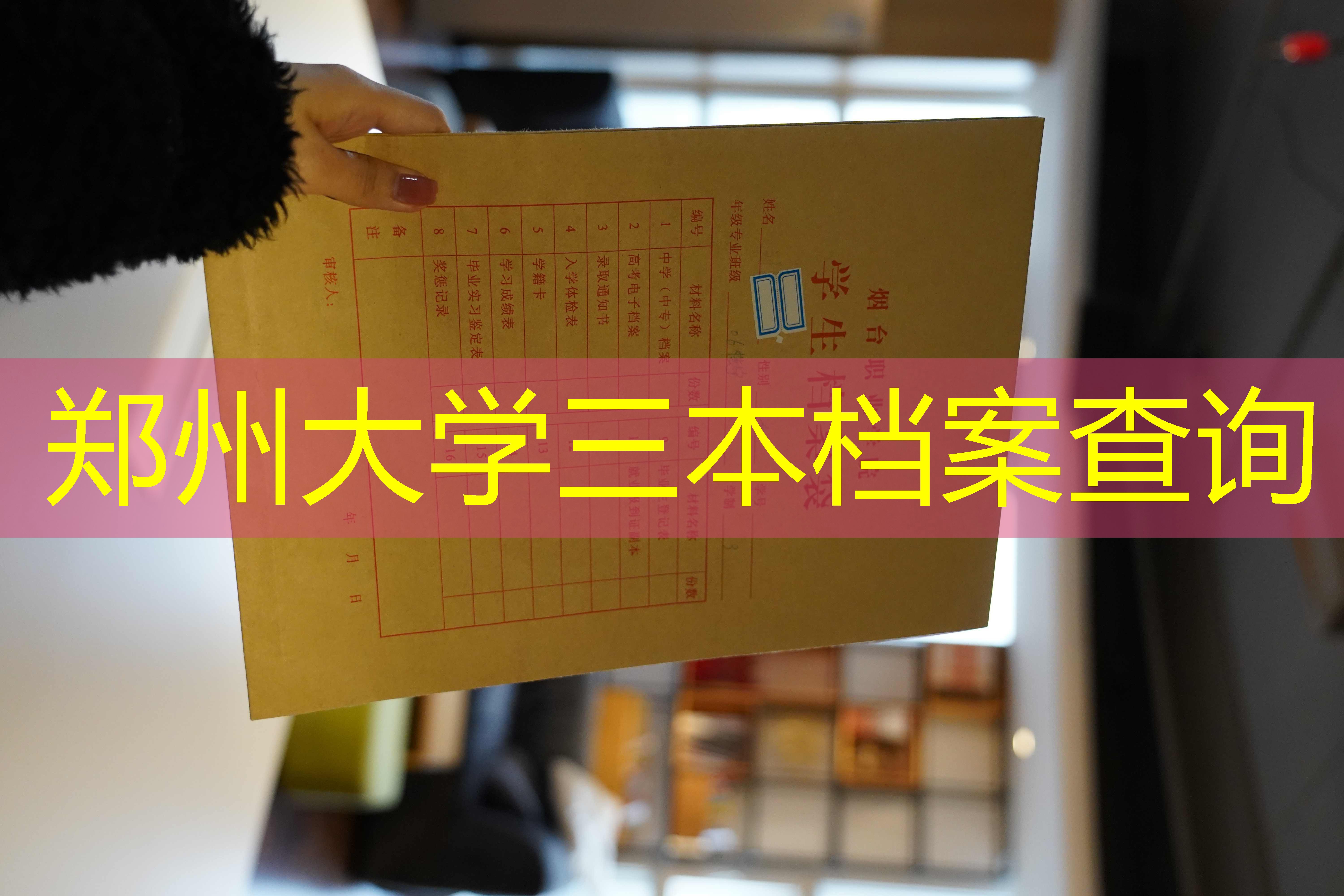 档案查询