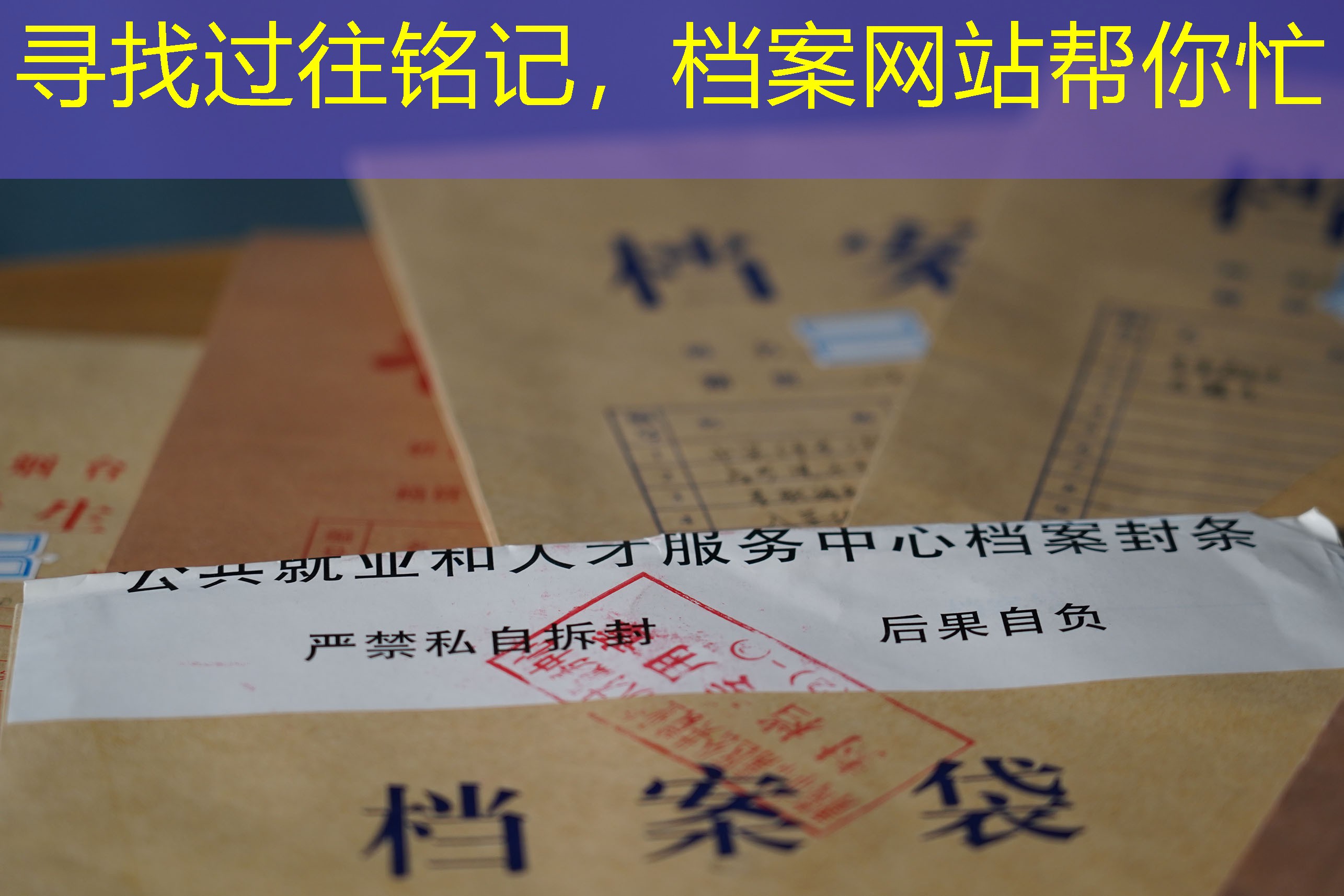 档案查询