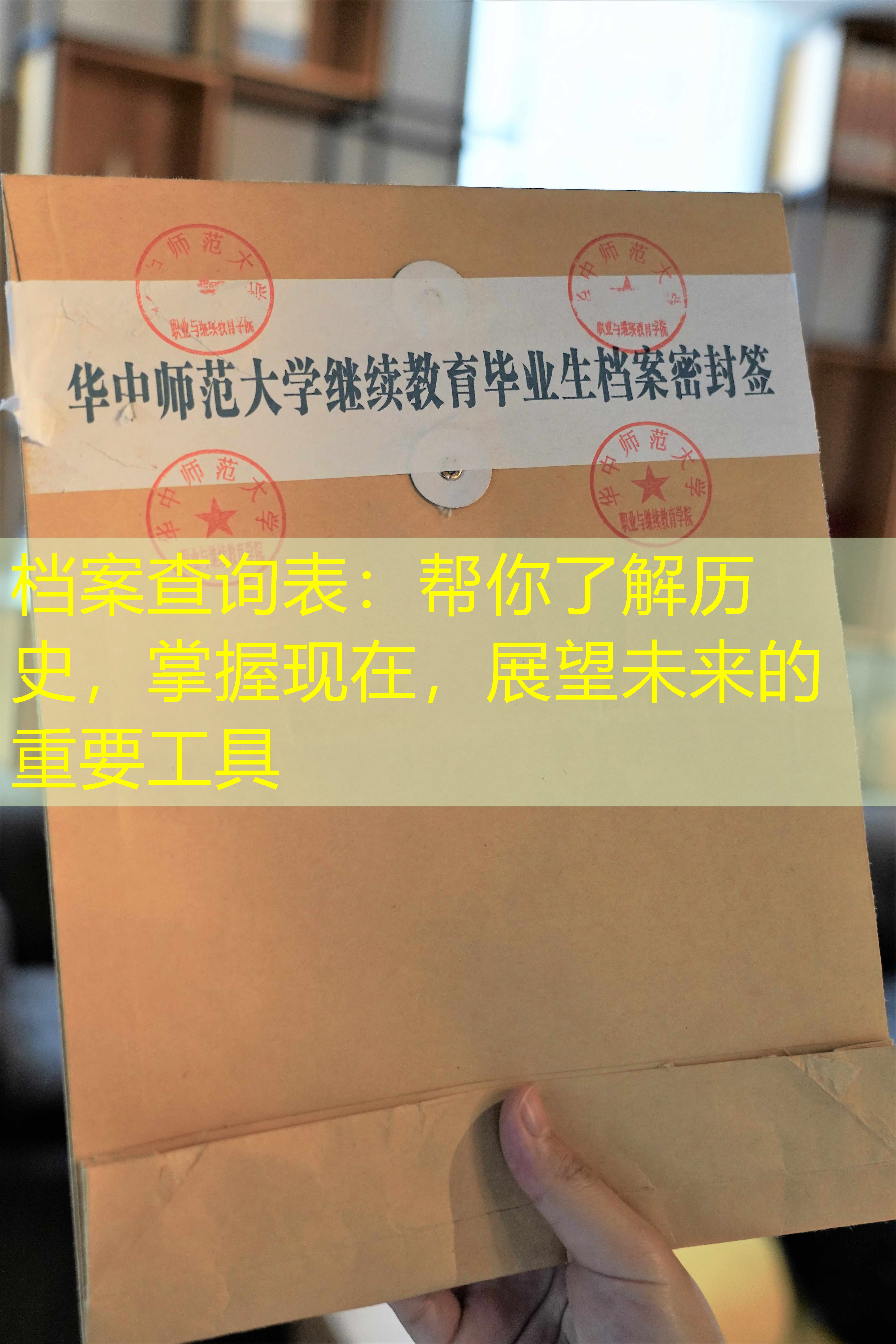 档案查询