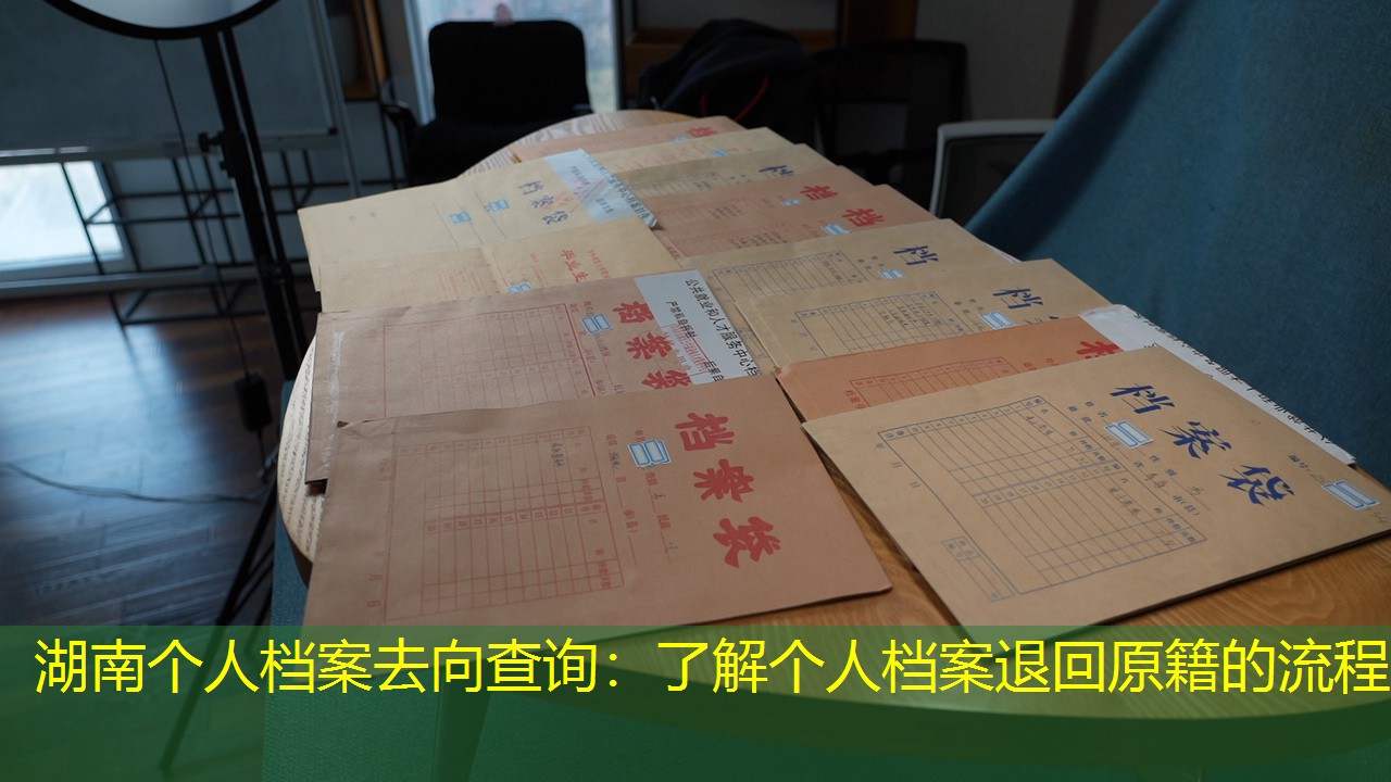 档案查询