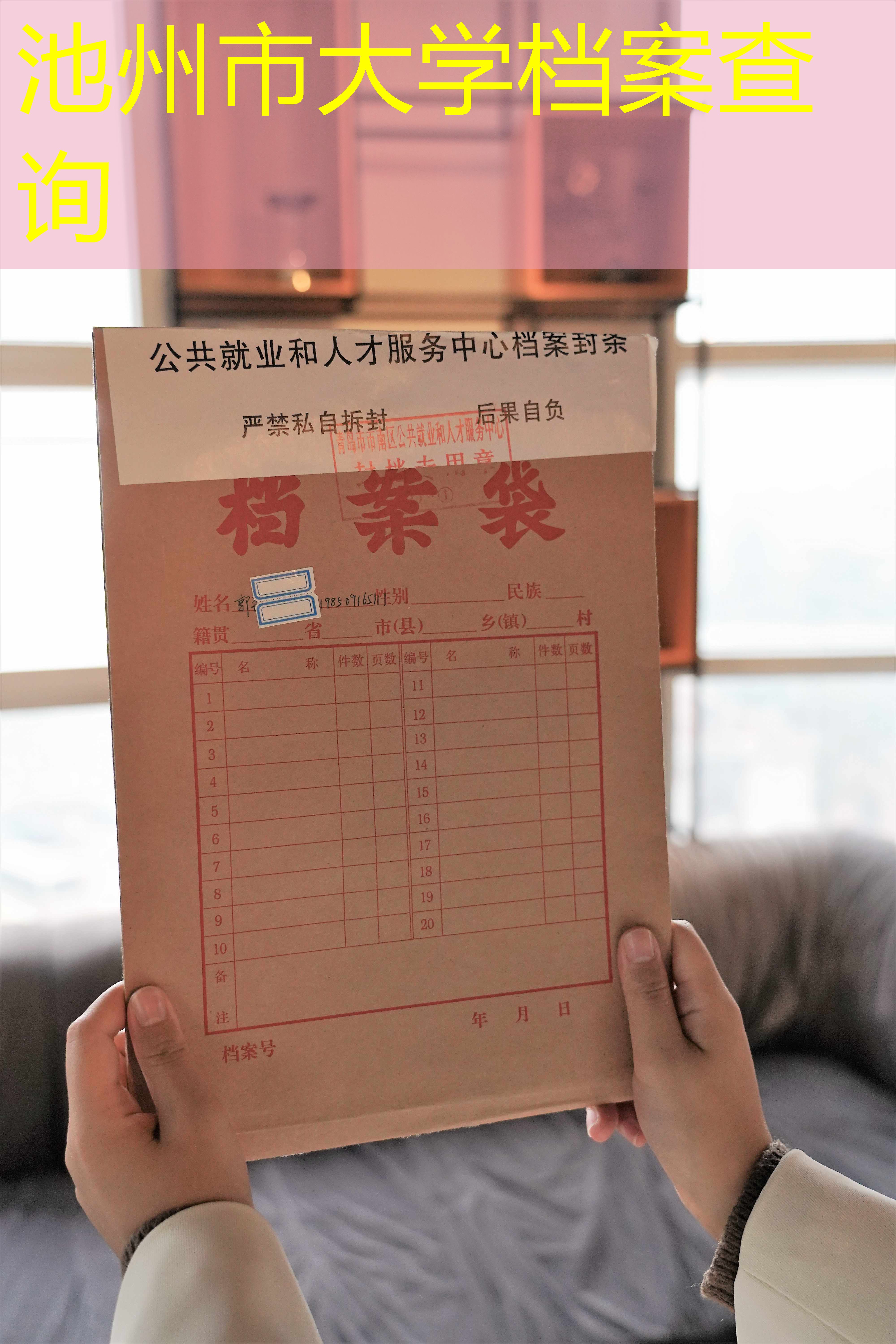 档案查询