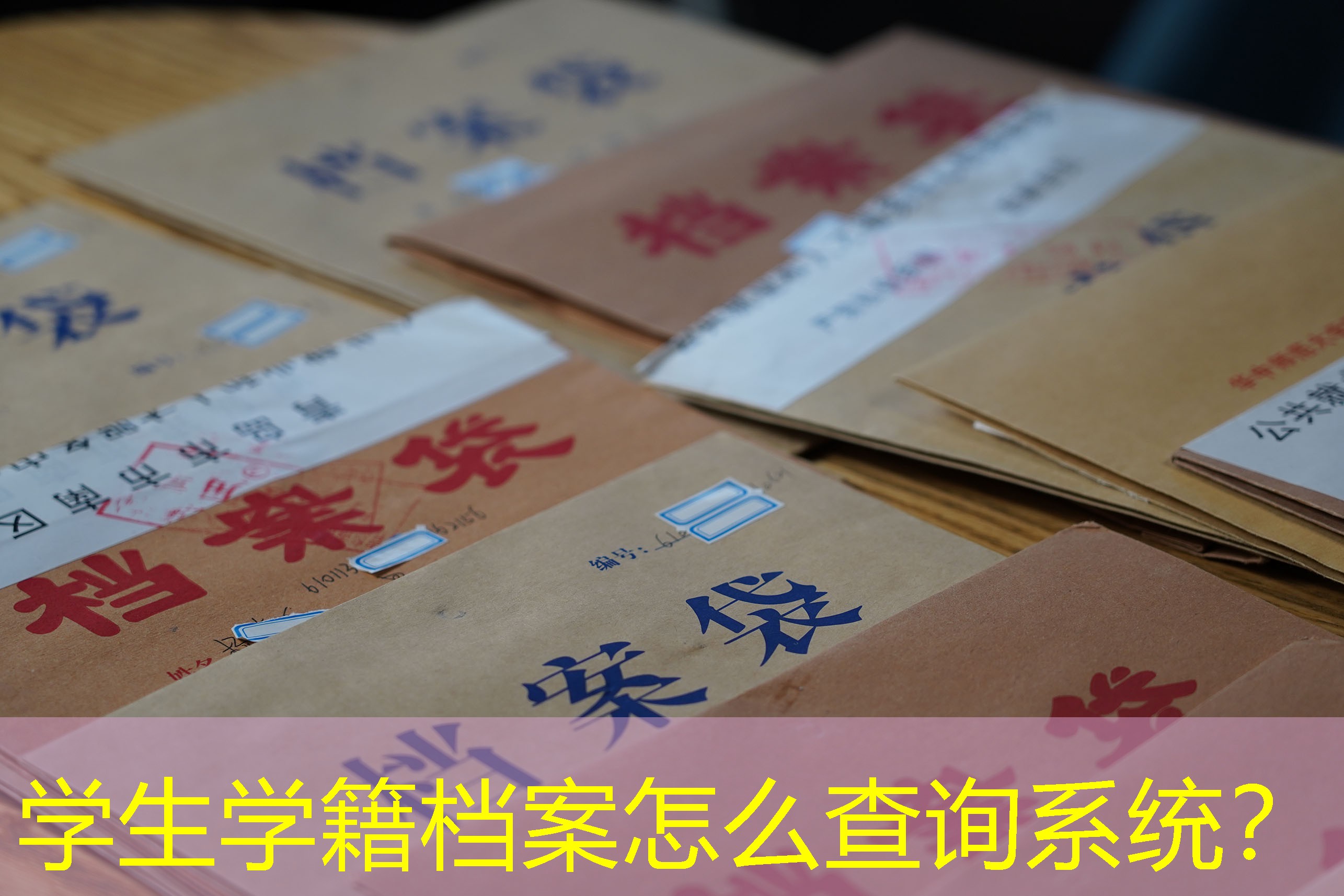 档案查询