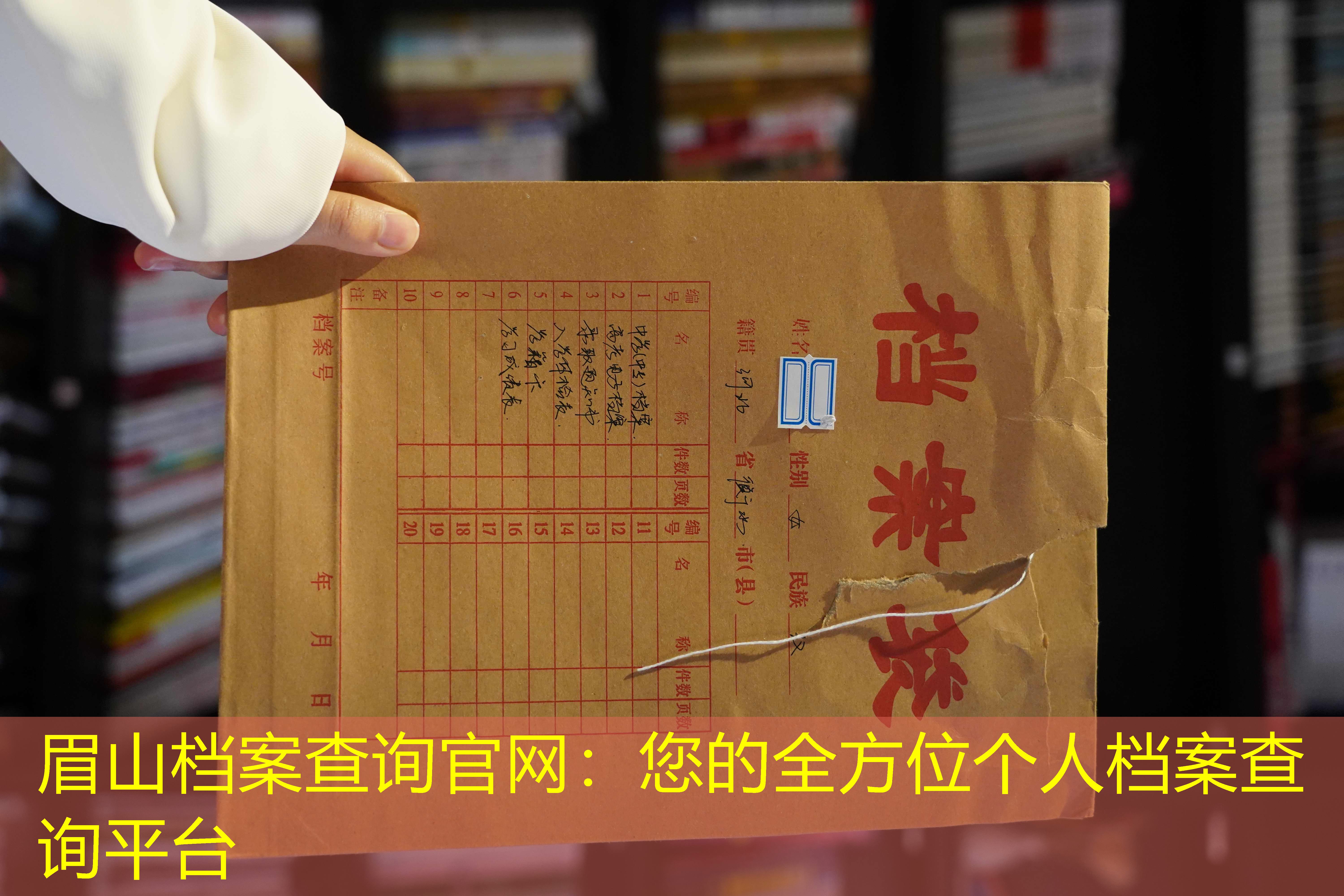 档案查询