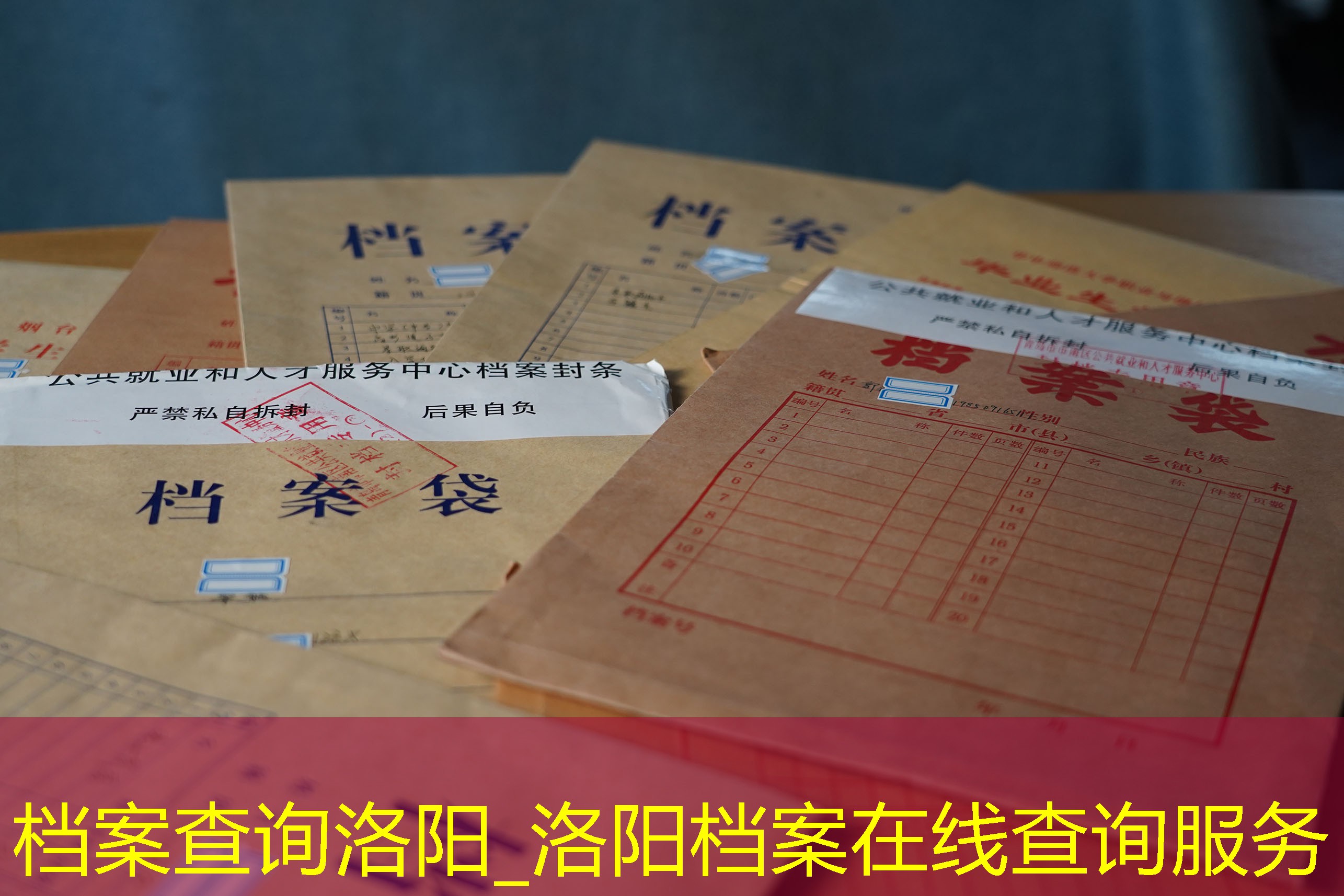 档案查询